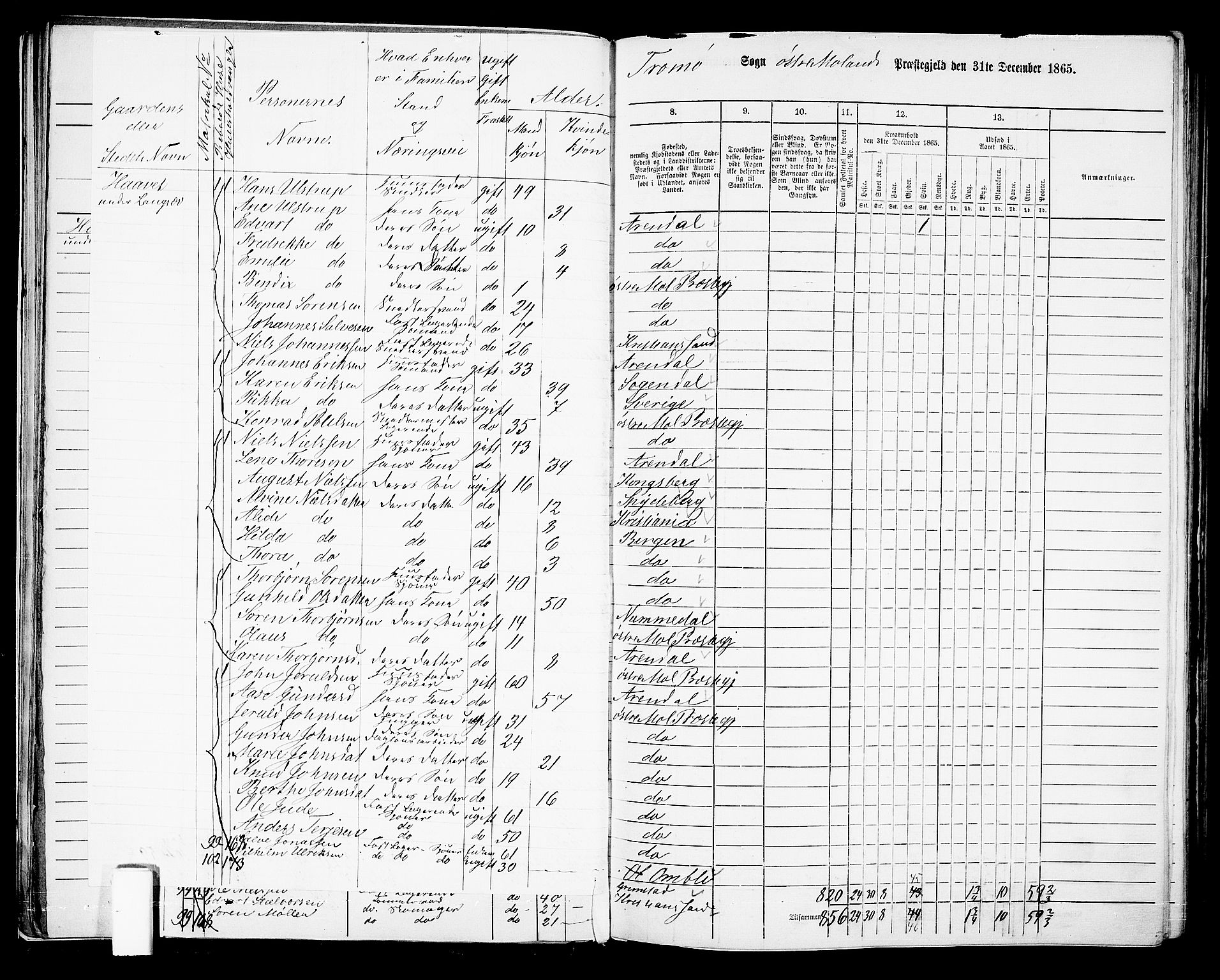 RA, Folketelling 1865 for 0918P Austre Moland prestegjeld, 1865, s. 47