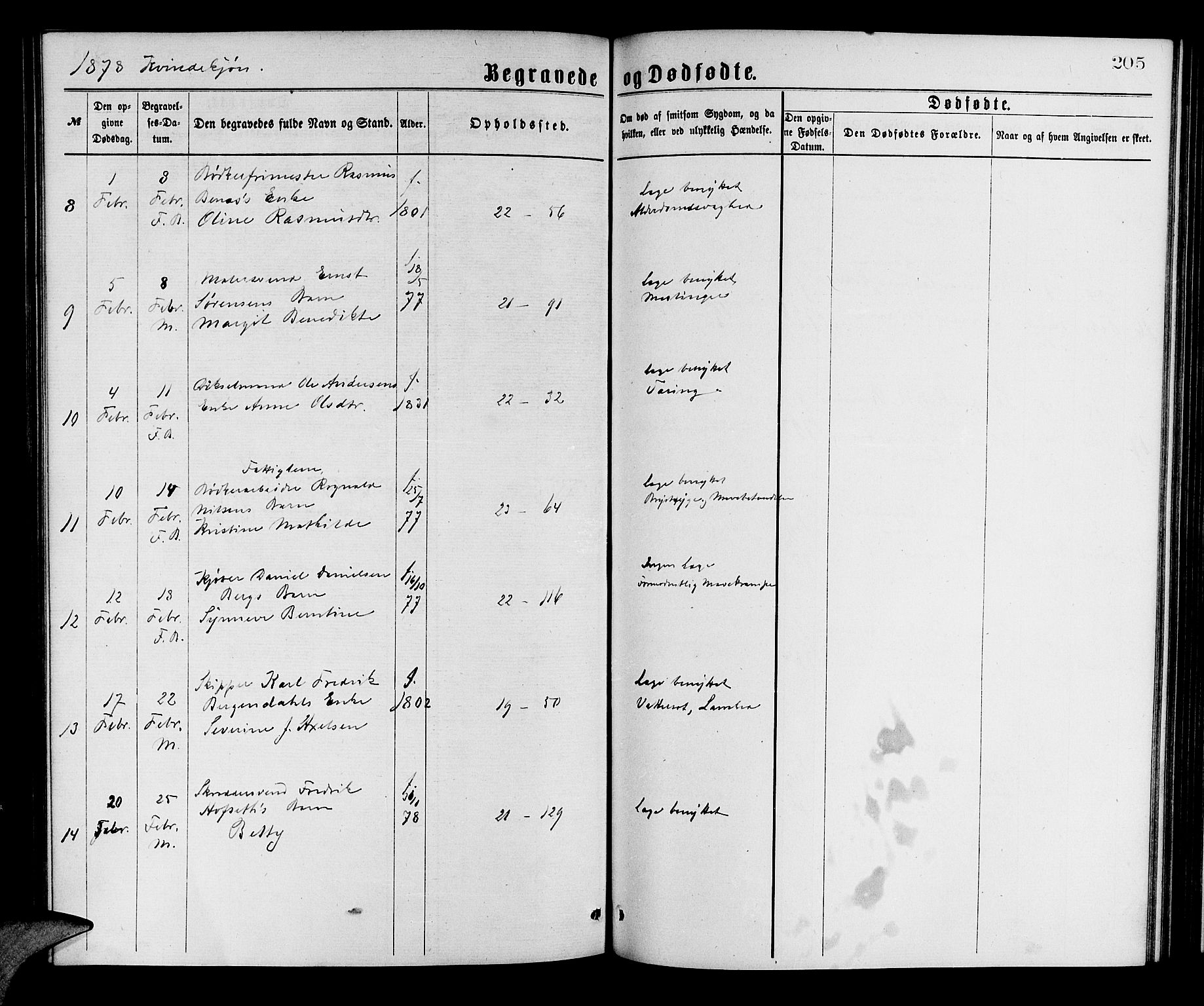 Korskirken sokneprestembete, SAB/A-76101/H/Hab: Klokkerbok nr. E 3, 1871-1883, s. 205