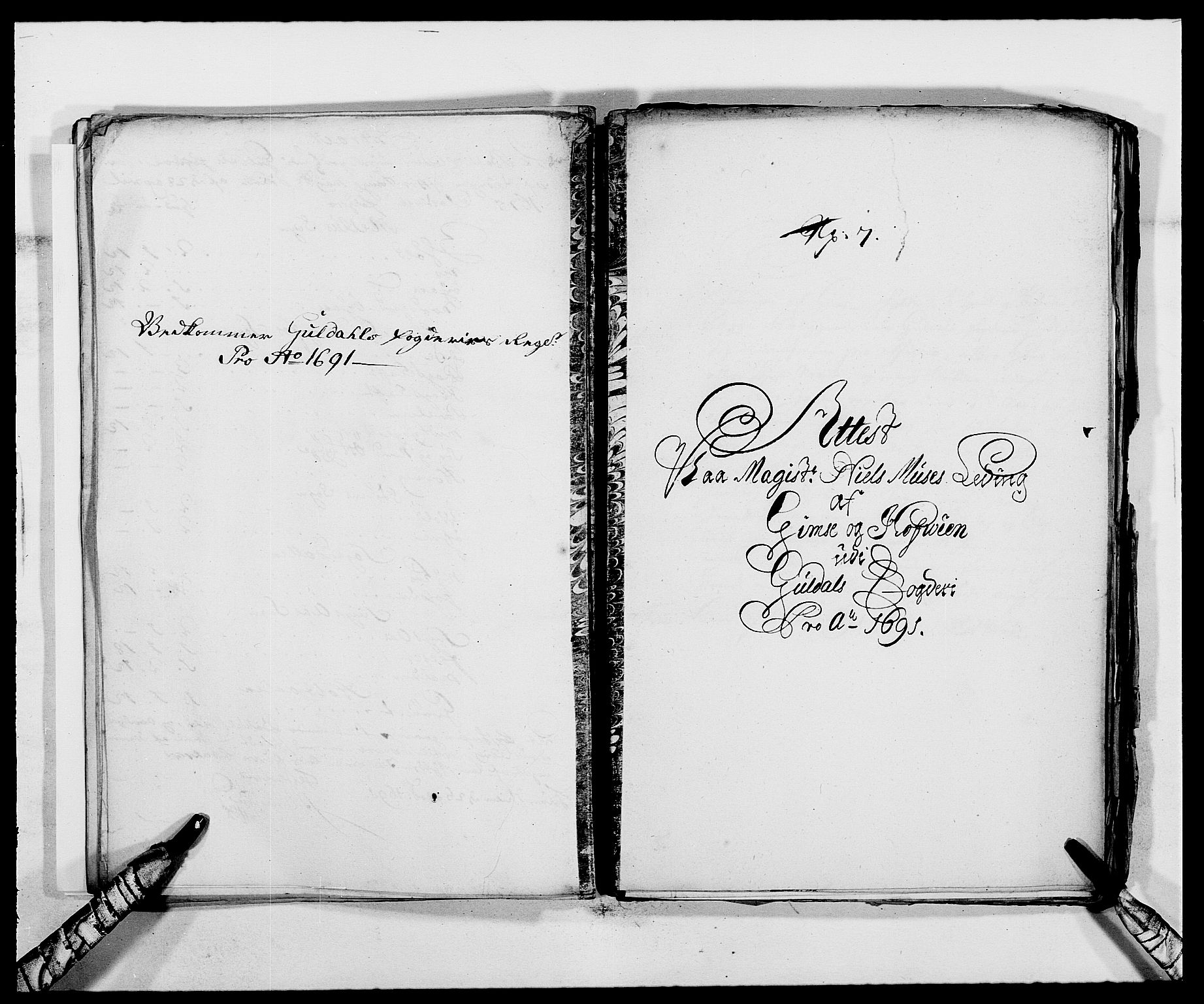 Rentekammeret inntil 1814, Reviderte regnskaper, Fogderegnskap, AV/RA-EA-4092/R59/L3941: Fogderegnskap Gauldal, 1691, s. 195