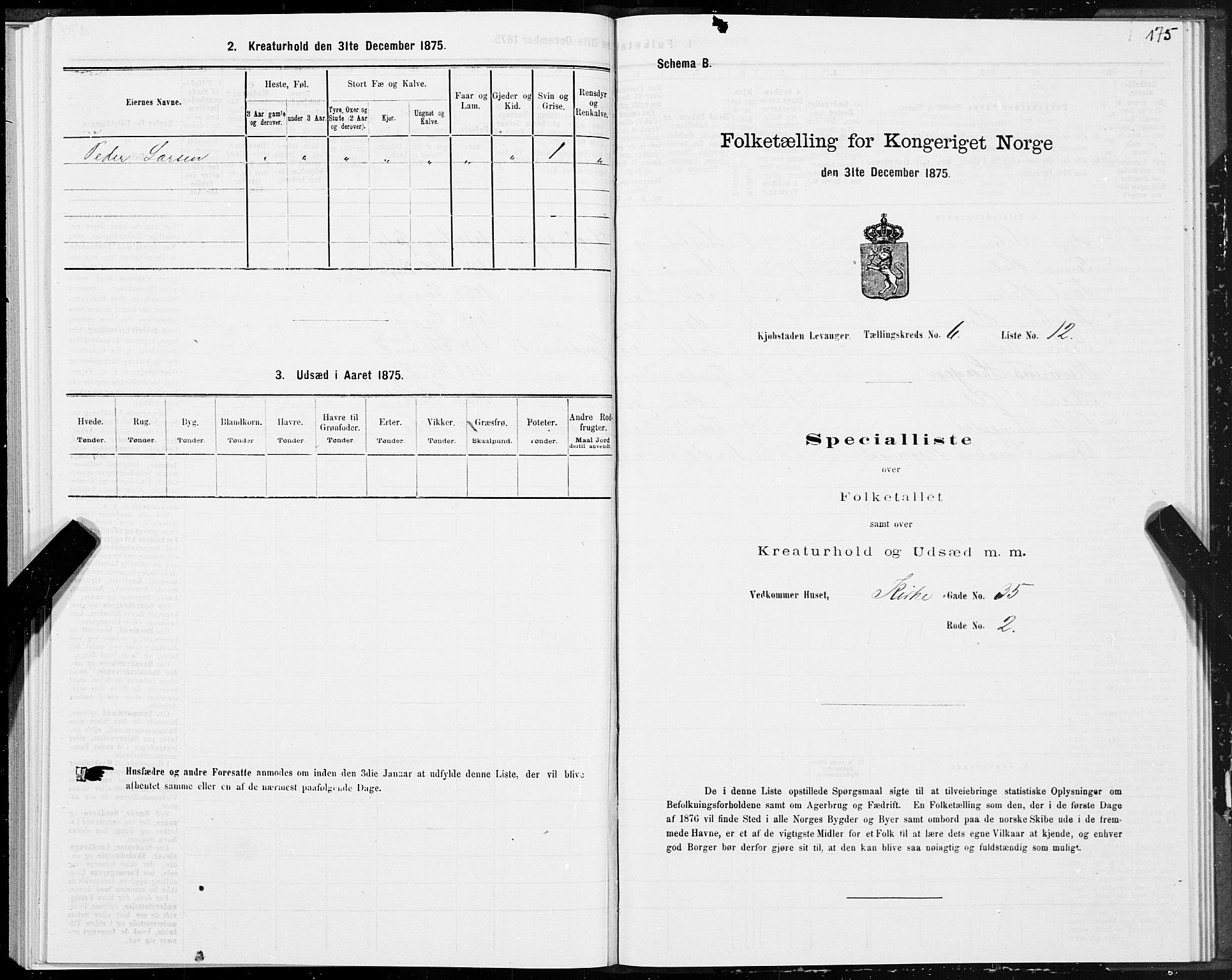 SAT, Folketelling 1875 for 1701B Levanger prestegjeld, Levanger kjøpstad, 1875, s. 175