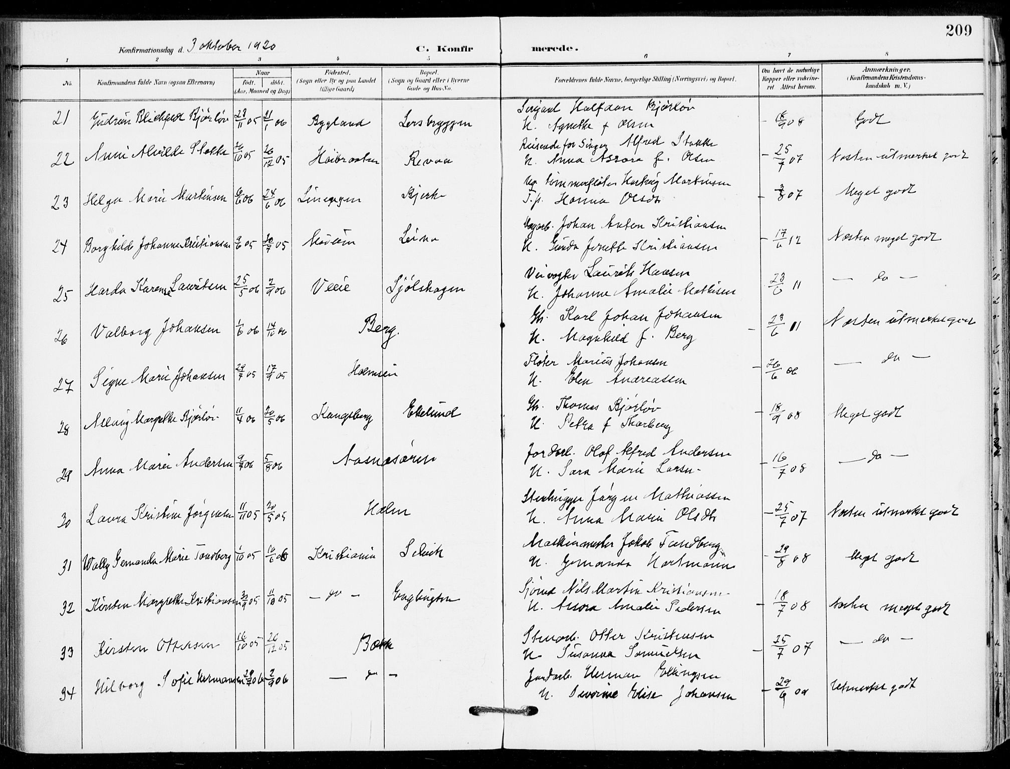 Sande Kirkebøker, AV/SAKO-A-53/F/Fa/L0008: Ministerialbok nr. 8, 1904-1921, s. 209