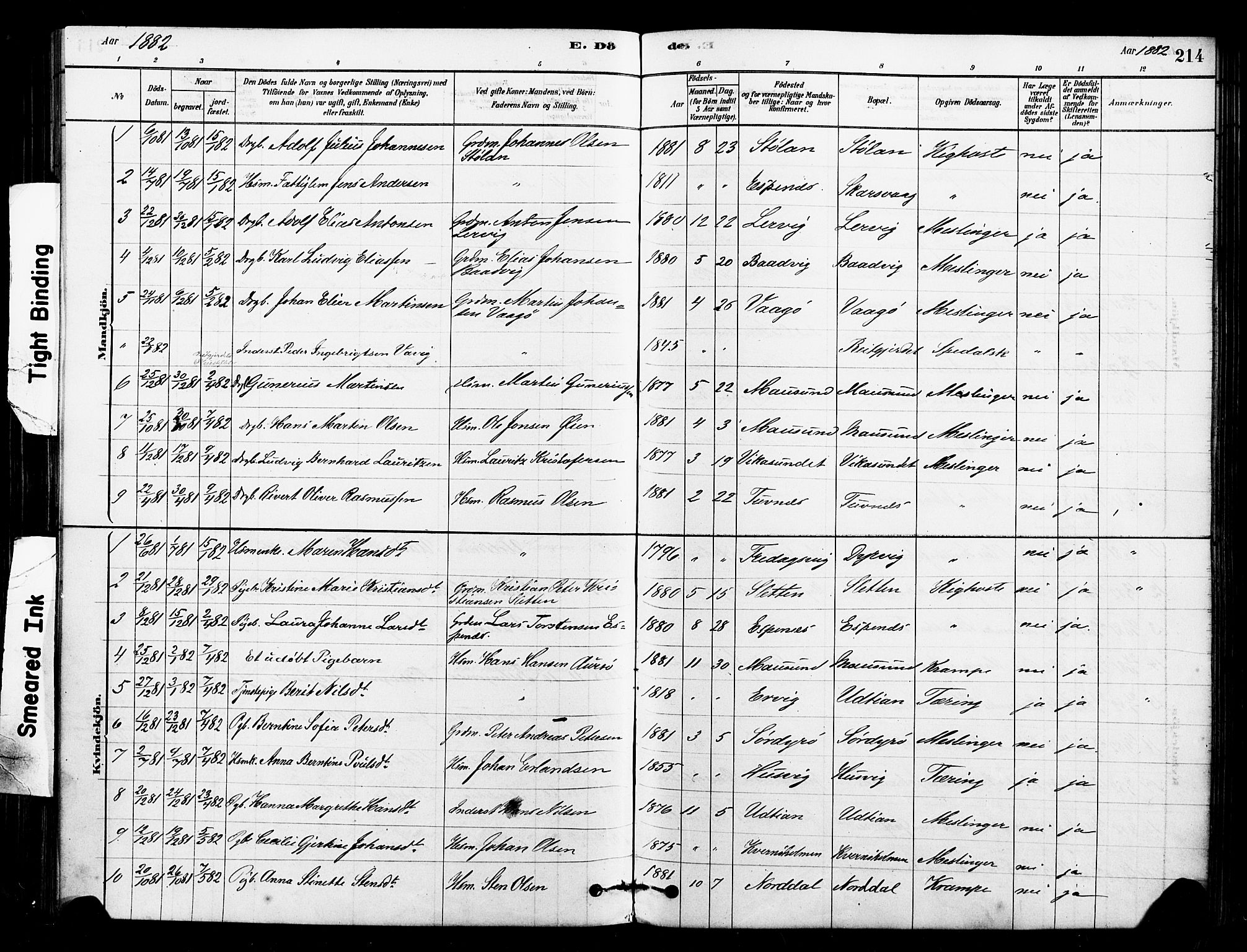 Ministerialprotokoller, klokkerbøker og fødselsregistre - Sør-Trøndelag, AV/SAT-A-1456/640/L0578: Ministerialbok nr. 640A03, 1879-1889, s. 214