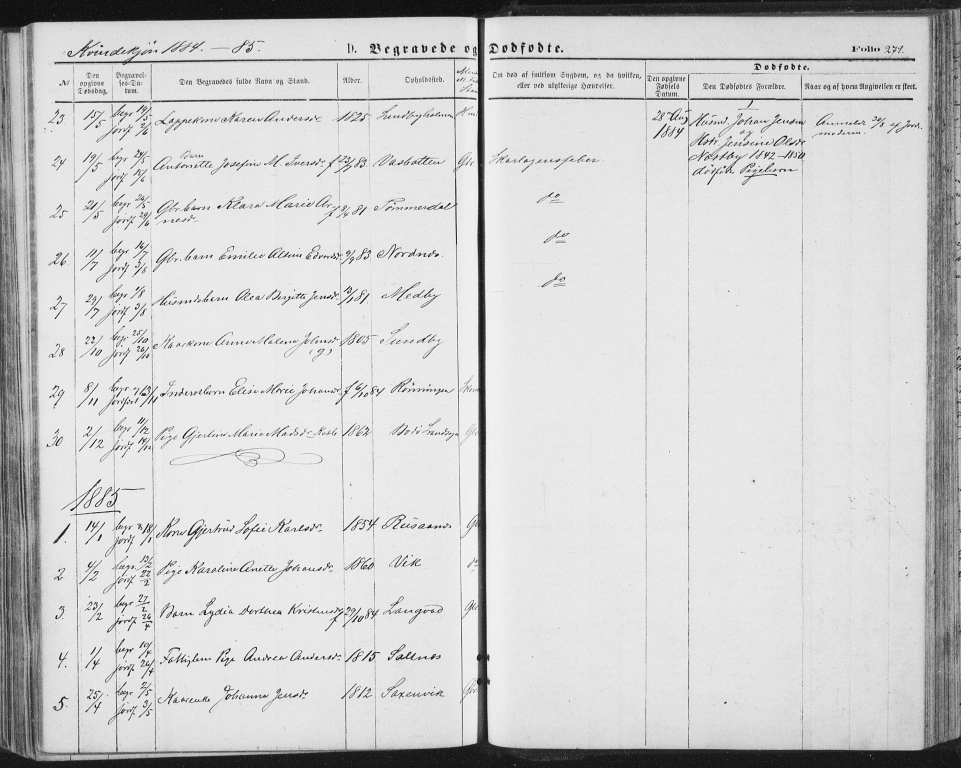 Ministerialprotokoller, klokkerbøker og fødselsregistre - Nordland, SAT/A-1459/847/L0668: Ministerialbok nr. 847A08, 1872-1886, s. 271