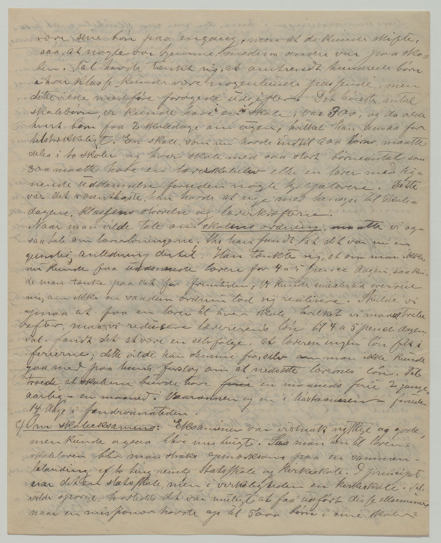 Det Norske Misjonsselskap - hovedadministrasjonen, VID/MA-A-1045/D/Da/Daa/L0036/0004: Konferansereferat og årsberetninger / Konferansereferat fra Madagaskar Innland., 1883