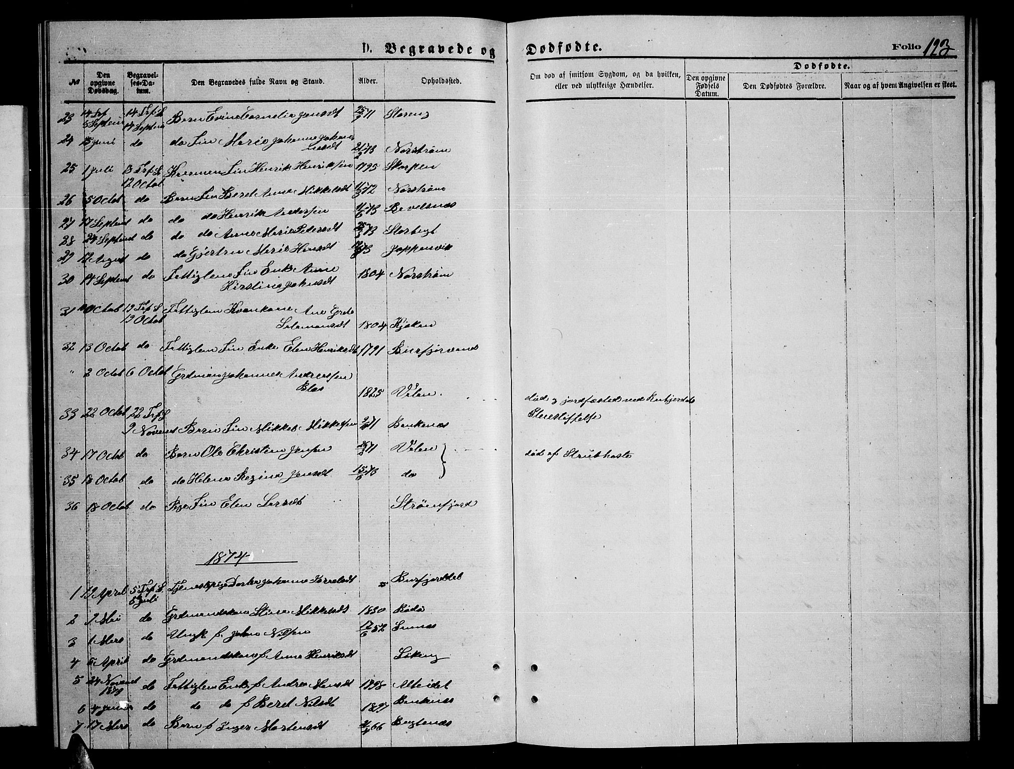 Skjervøy sokneprestkontor, AV/SATØ-S-1300/H/Ha/Hab/L0014klokker: Klokkerbok nr. 14, 1871-1877, s. 123