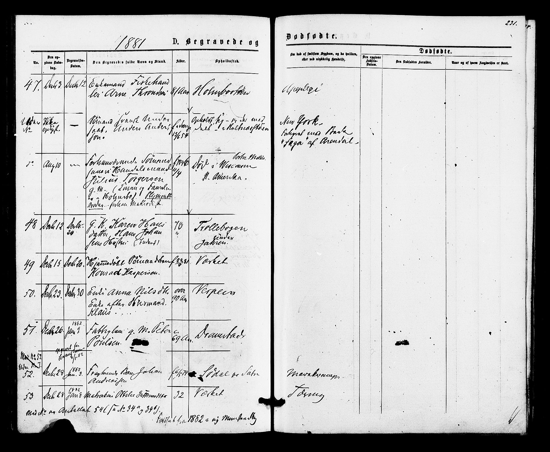 Hurum kirkebøker, AV/SAKO-A-229/F/Fa/L0013: Ministerialbok nr. 13, 1876-1881, s. 231
