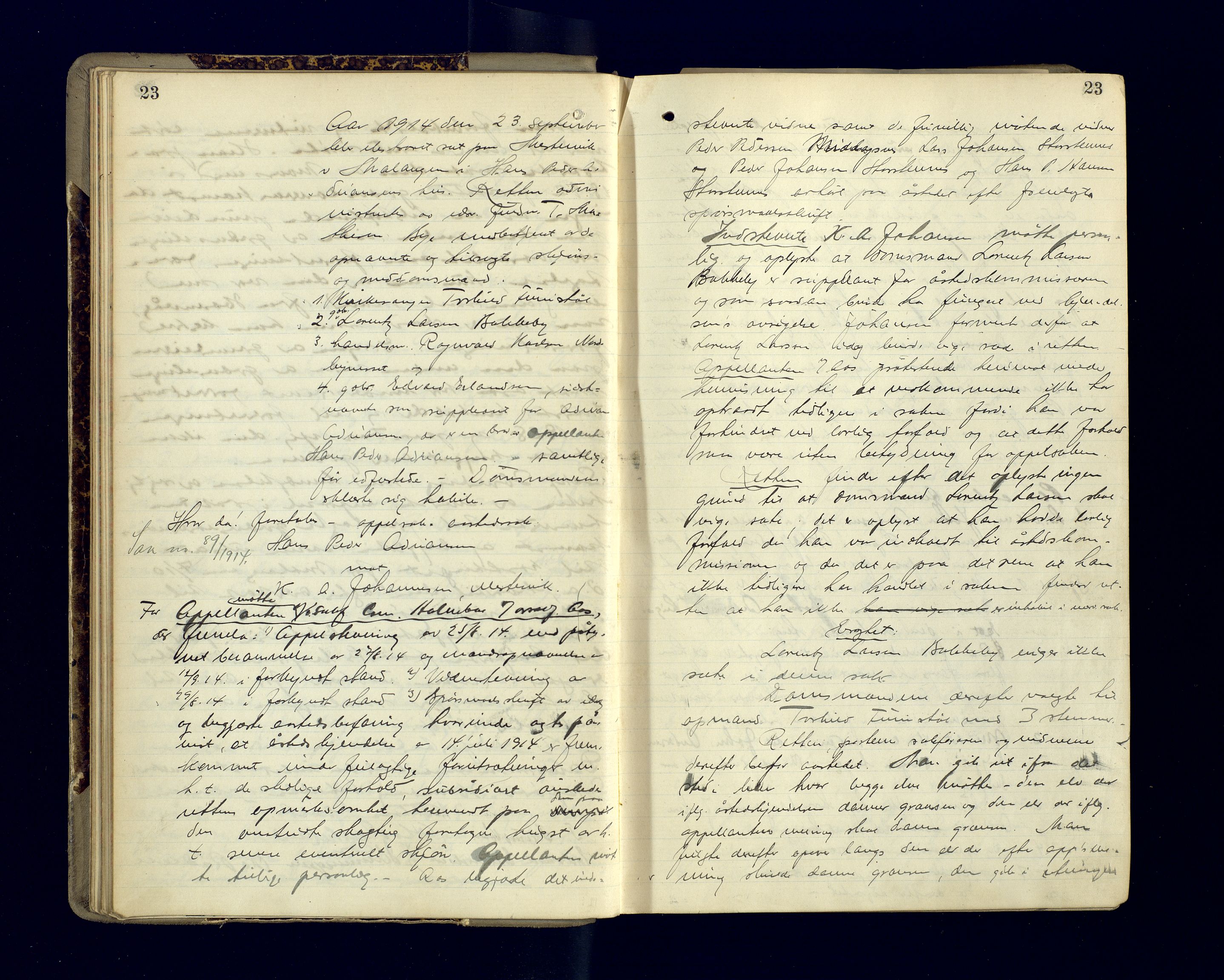 Malangen sorenskriveri, AV/SATØ-SATØ-0051/1/F/Fa/L0034: Ekstraretts- og sjørettsprotokoller. Med noen vigsler (f.eks. side 229), 1913-1924, s. 23