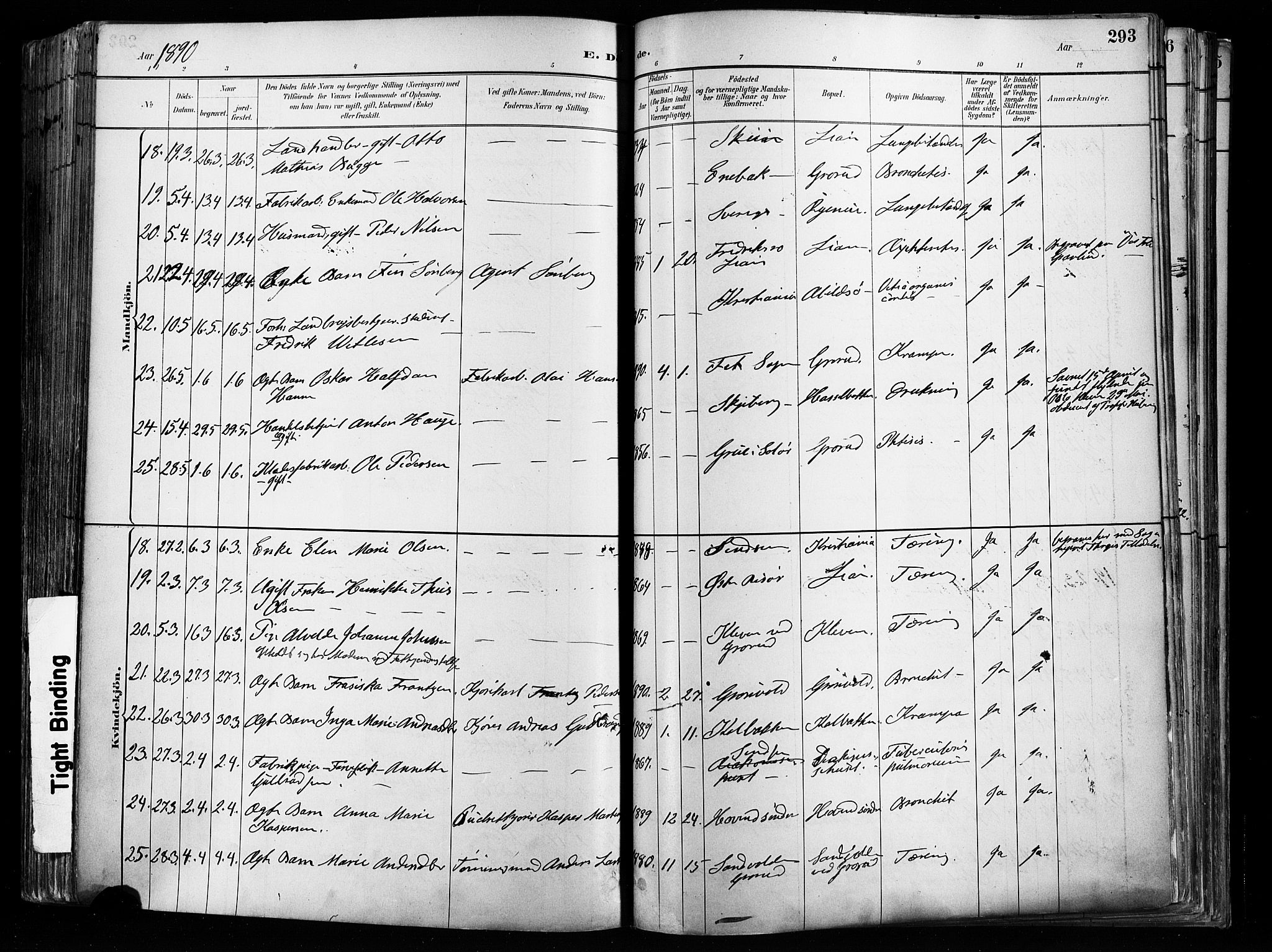 Østre Aker prestekontor Kirkebøker, AV/SAO-A-10840/F/Fa/L0008: Ministerialbok nr. I 8, 1883-1894, s. 293