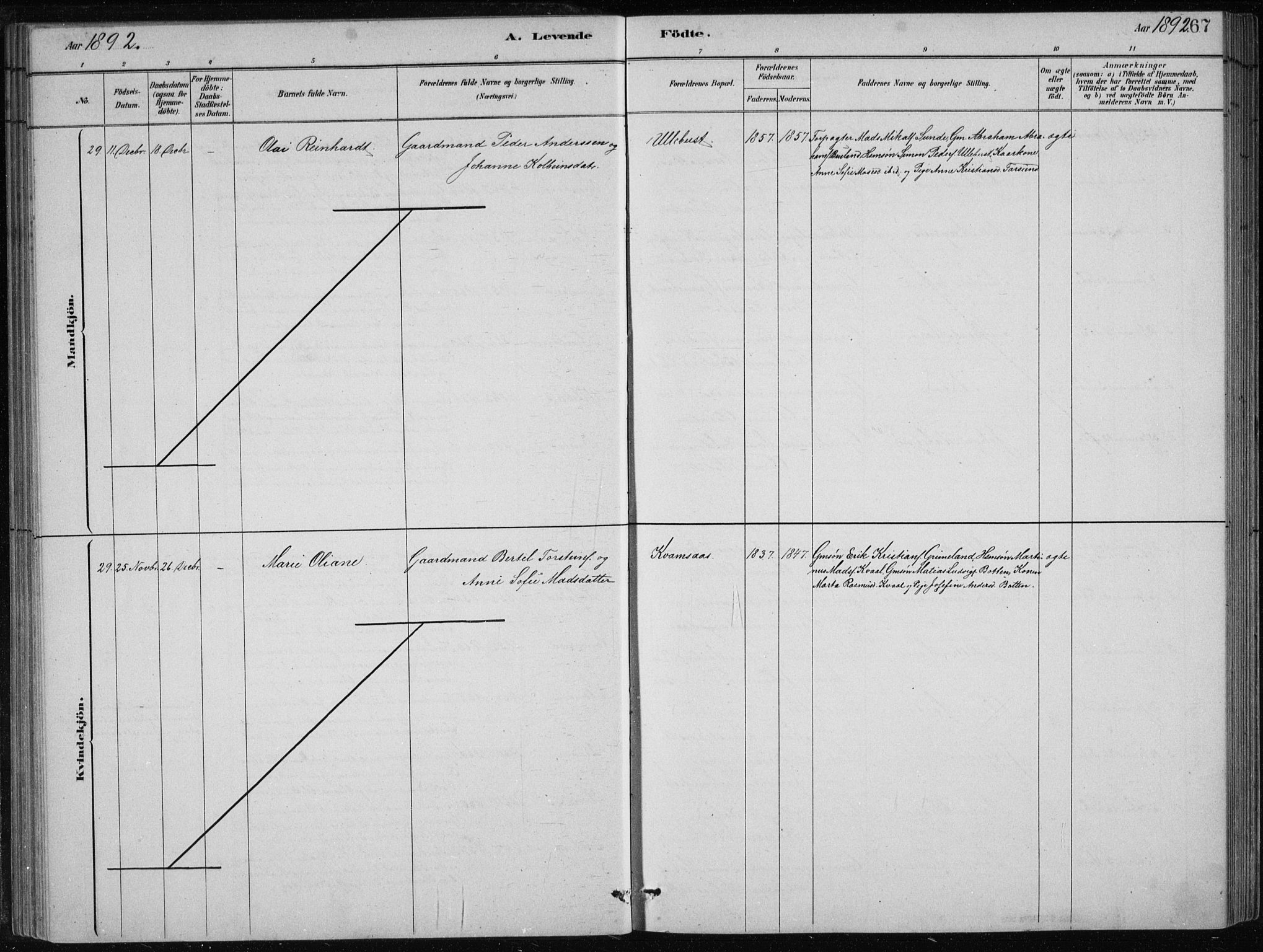 Førde sokneprestembete, AV/SAB-A-79901/H/Hab/Haba/L0002: Klokkerbok nr. A 2, 1881-1898, s. 67