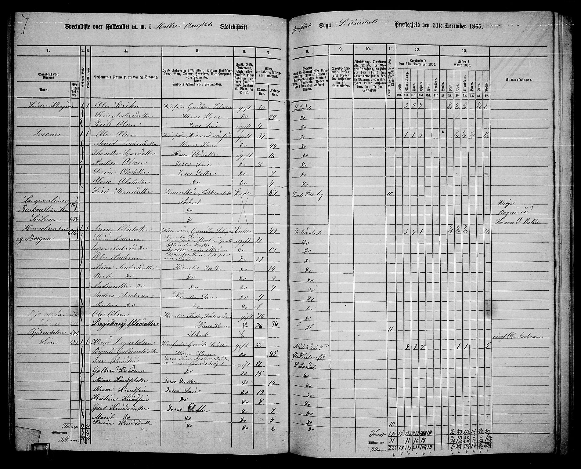 RA, Folketelling 1865 for 0540P Sør-Aurdal prestegjeld, 1865, s. 223