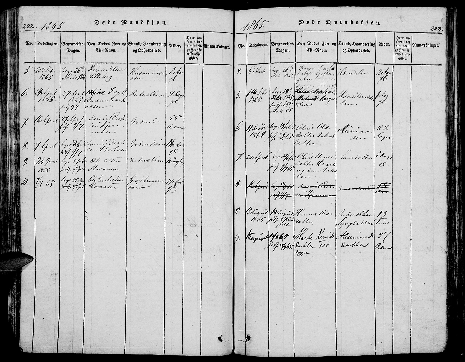 Trysil prestekontor, SAH/PREST-046/H/Ha/Hab/L0005: Klokkerbok nr. 5, 1814-1877, s. 222-223