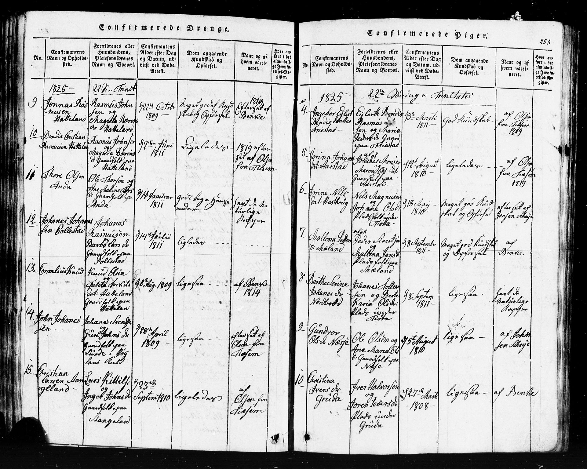 Klepp sokneprestkontor, AV/SAST-A-101803/001/3/30BB/L0001: Klokkerbok nr.  B 1, 1816-1859, s. 253