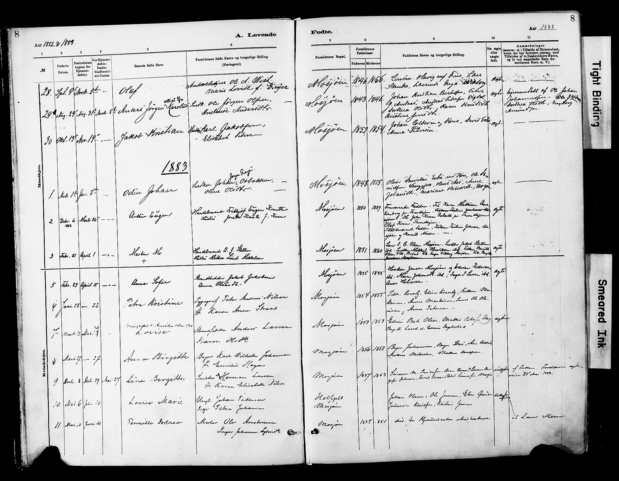 Ministerialprotokoller, klokkerbøker og fødselsregistre - Nordland, AV/SAT-A-1459/820/L0296: Ministerialbok nr. 820A17, 1880-1903, s. 8