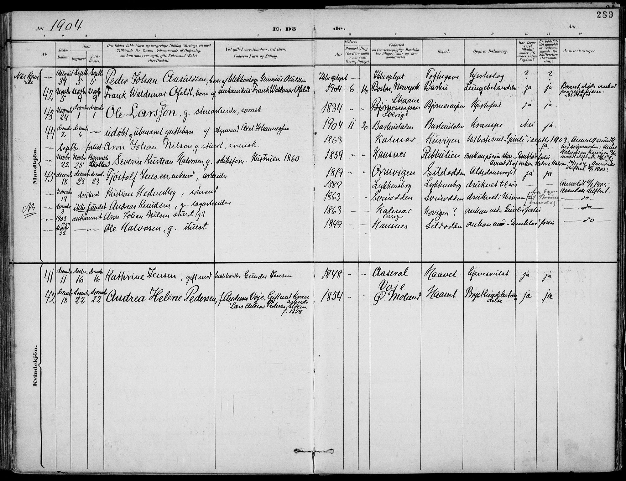 Barbu sokneprestkontor, AV/SAK-1111-0003/F/Fa/L0005: Ministerialbok nr. A 5, 1899-1909, s. 289