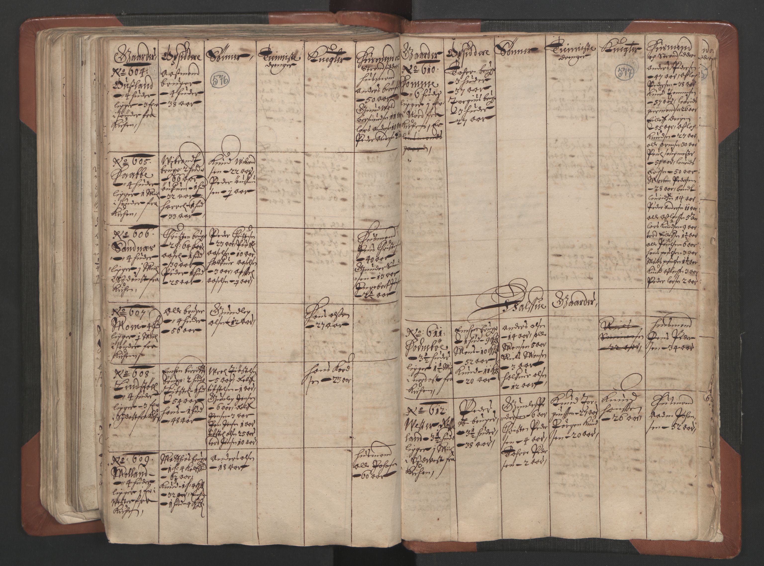 RA, Fogdenes og sorenskrivernes manntall 1664-1666, nr. 7: Nedenes fogderi, 1664-1666, s. 576-577