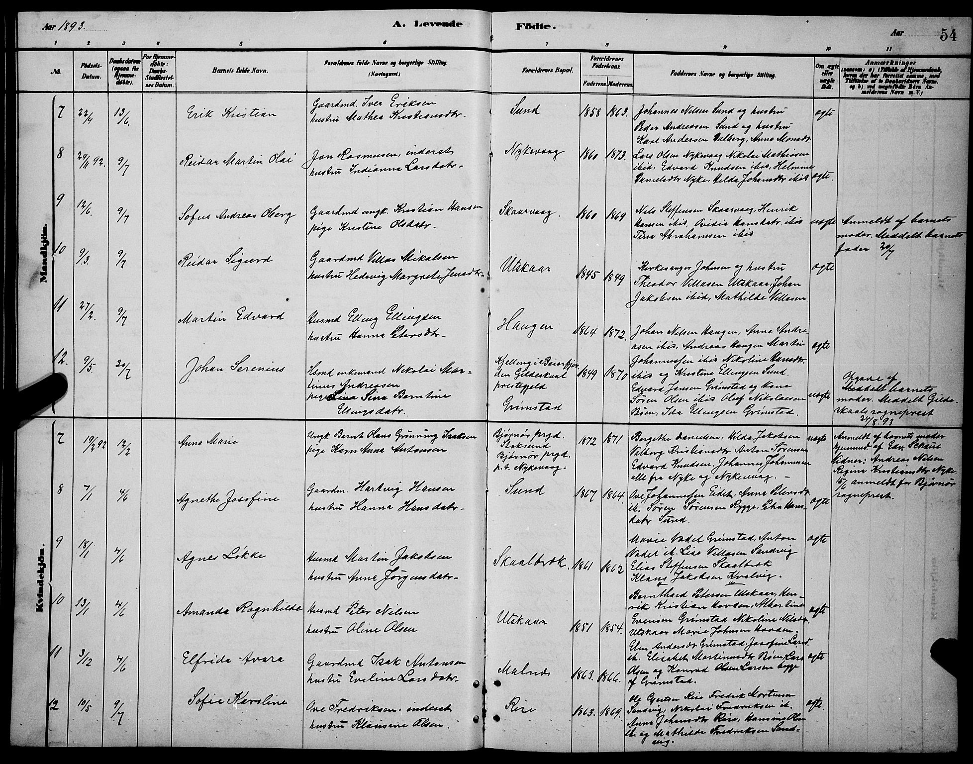 Ministerialprotokoller, klokkerbøker og fødselsregistre - Nordland, AV/SAT-A-1459/892/L1325: Klokkerbok nr. 892C02, 1878-1896, s. 54