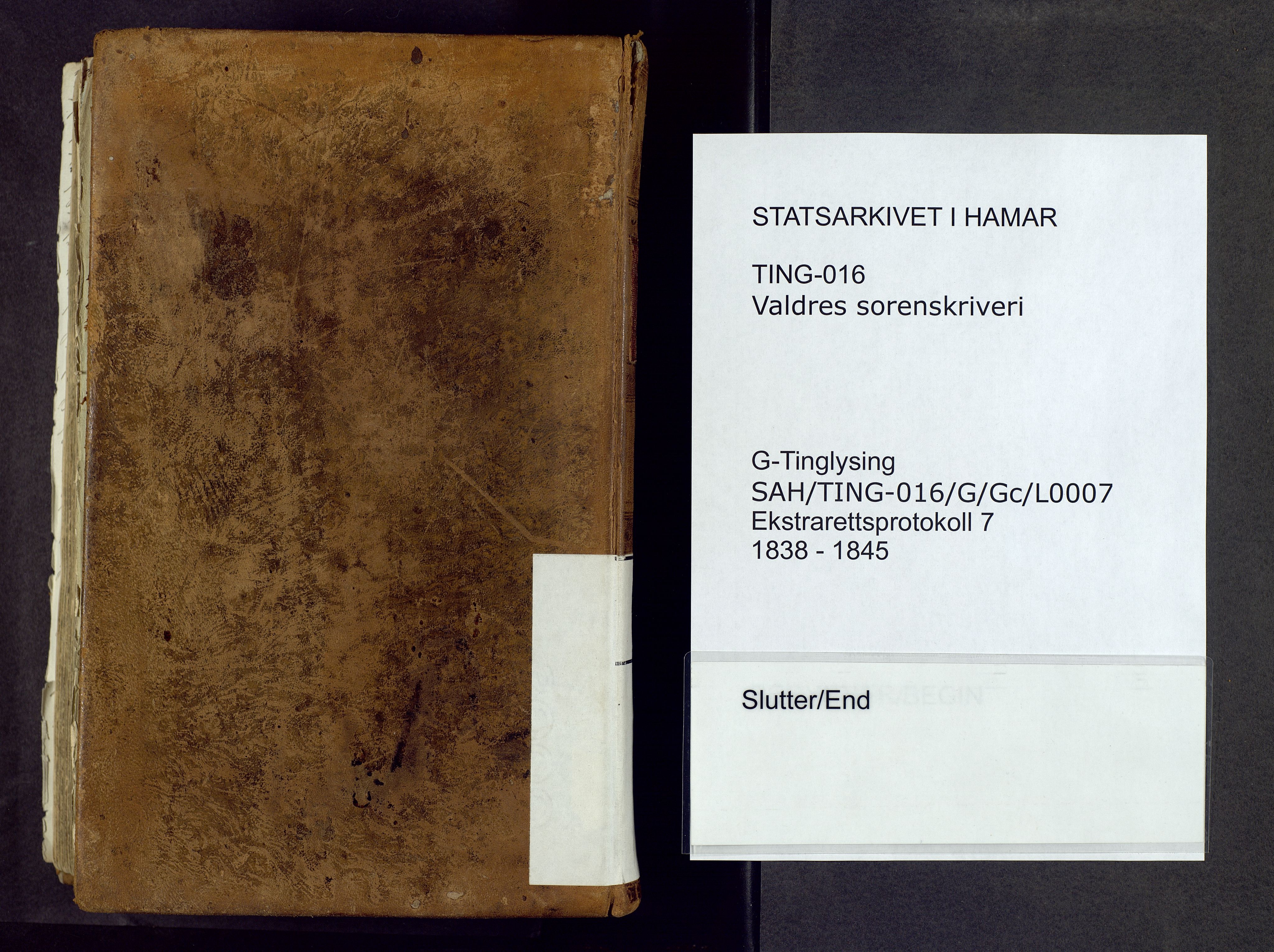 Valdres sorenskriveri, AV/SAH-TING-016/G/Gc/L0007: Ekstrarettsprotokoll, 1838-1845