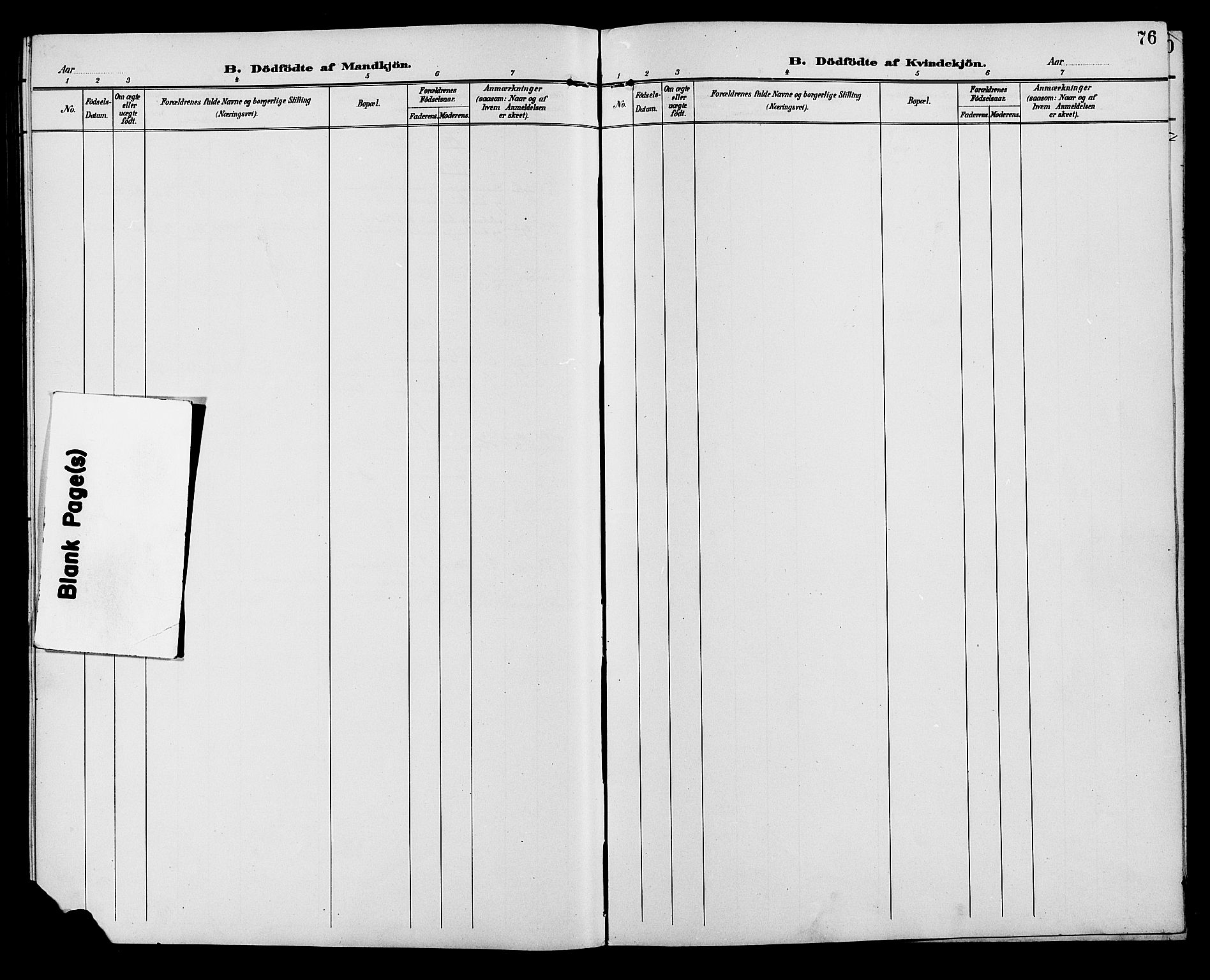 Ringebu prestekontor, SAH/PREST-082/H/Ha/Hab/L0007: Klokkerbok nr. 7, 1890-1910, s. 76
