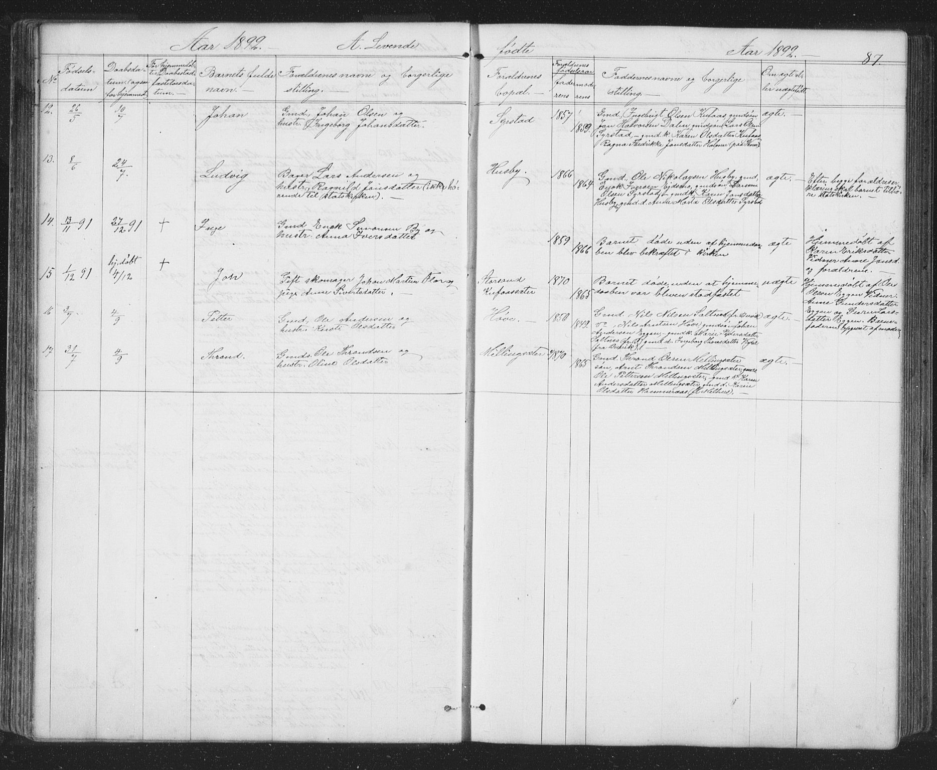 Ministerialprotokoller, klokkerbøker og fødselsregistre - Sør-Trøndelag, SAT/A-1456/667/L0798: Klokkerbok nr. 667C03, 1867-1929, s. 87