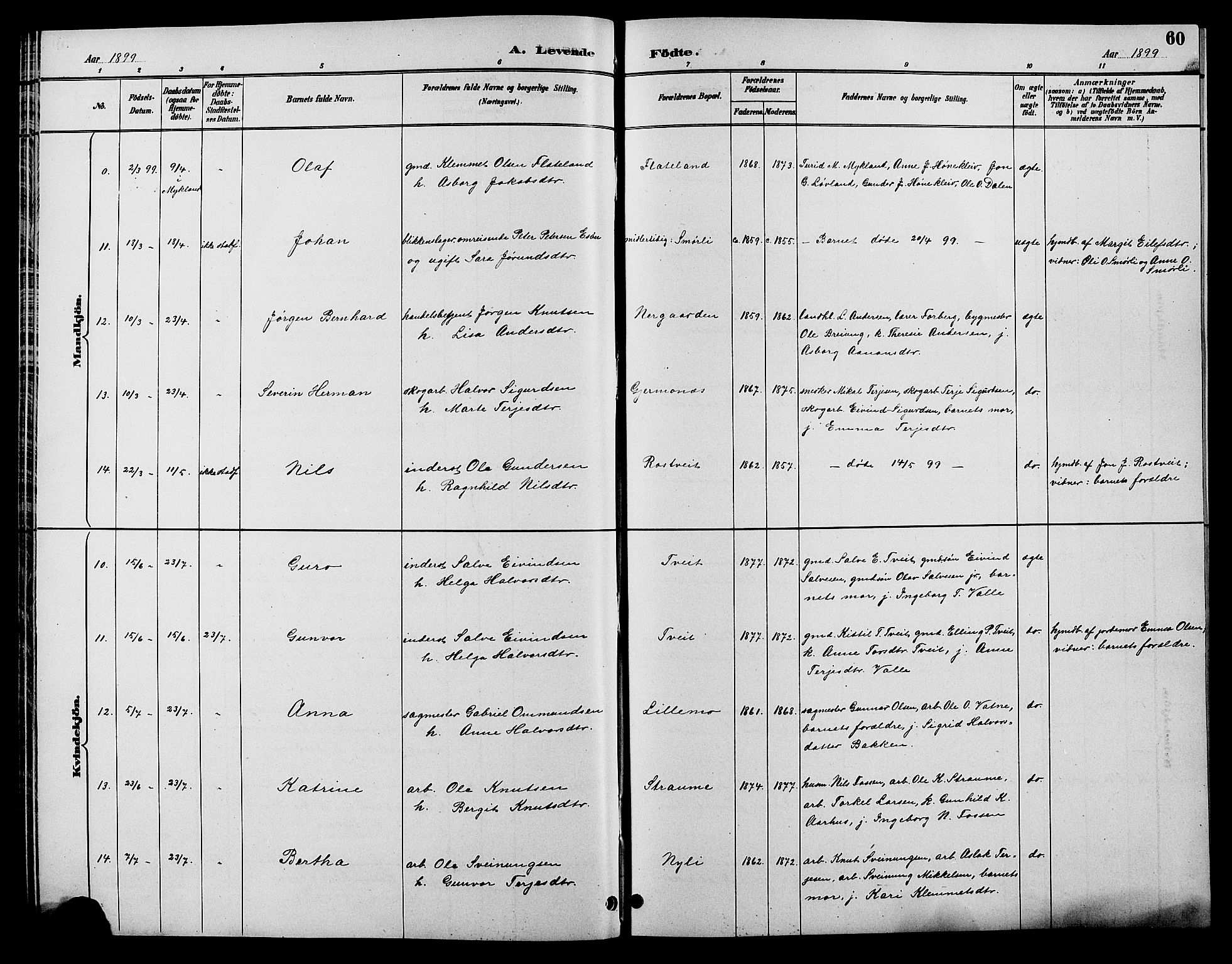 Åmli sokneprestkontor, SAK/1111-0050/F/Fb/Fbc/L0004: Klokkerbok nr. B 4, 1889-1902, s. 60