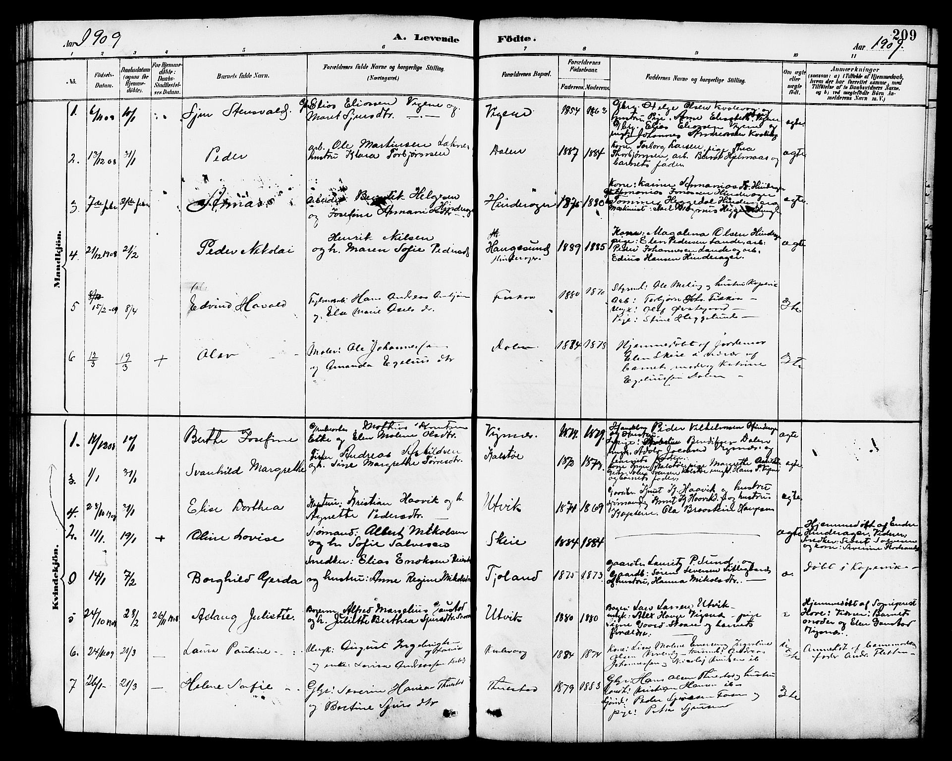 Avaldsnes sokneprestkontor, AV/SAST-A -101851/H/Ha/Hab/L0007: Klokkerbok nr. B 7, 1885-1909, s. 209