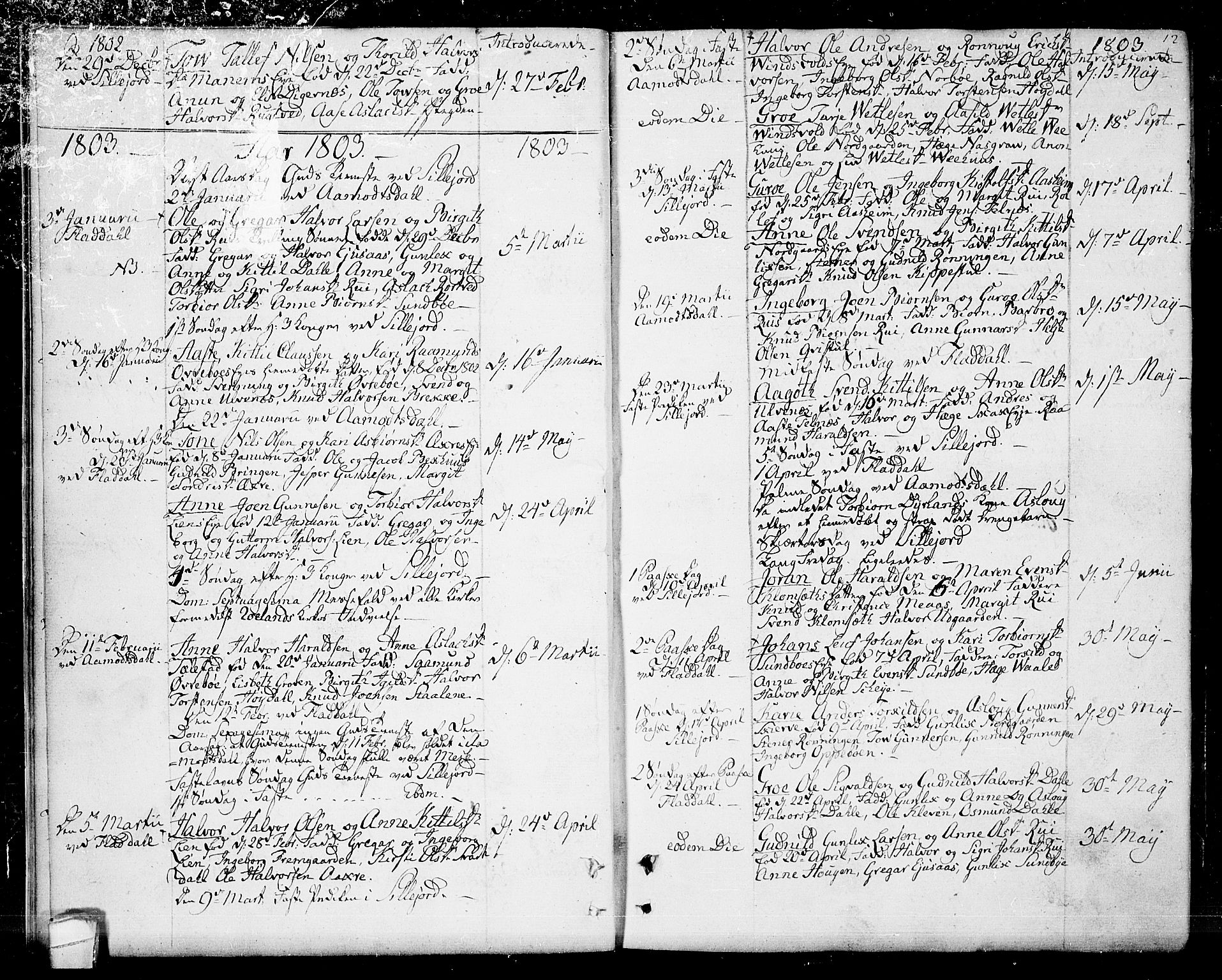 Seljord kirkebøker, AV/SAKO-A-20/F/Fa/L0009: Ministerialbok nr. I 9, 1801-1814, s. 12