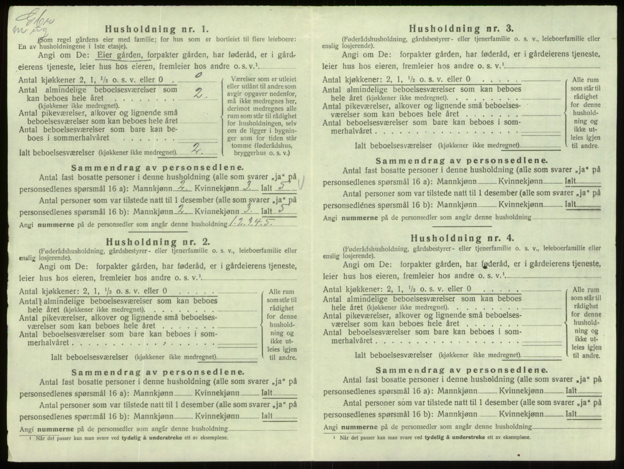 SAB, Folketelling 1920 for 1443 Eid herred, 1920, s. 308