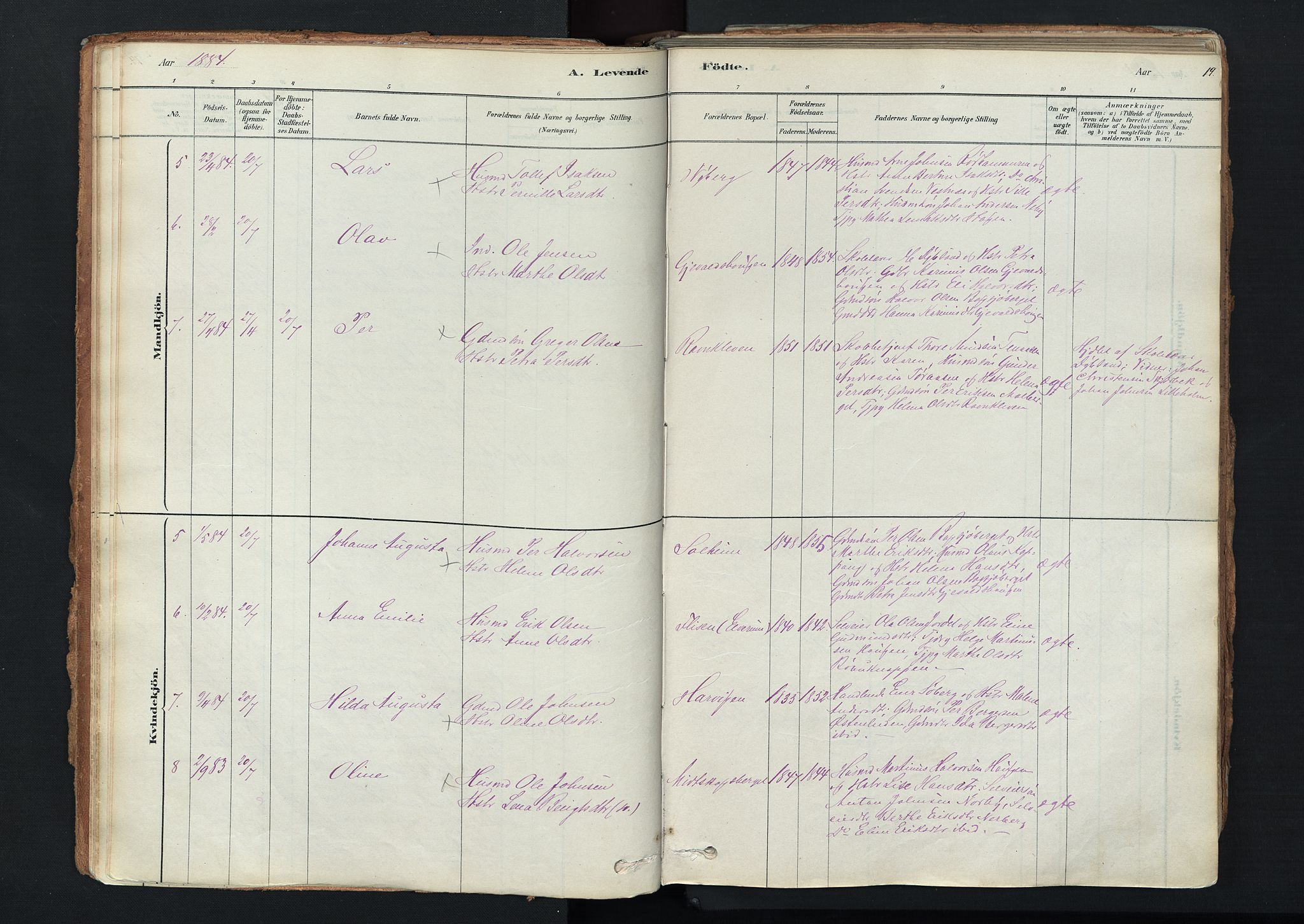 Trysil prestekontor, AV/SAH-PREST-046/H/Ha/Haa/L0011: Ministerialbok nr. 11, 1878-1912, s. 19