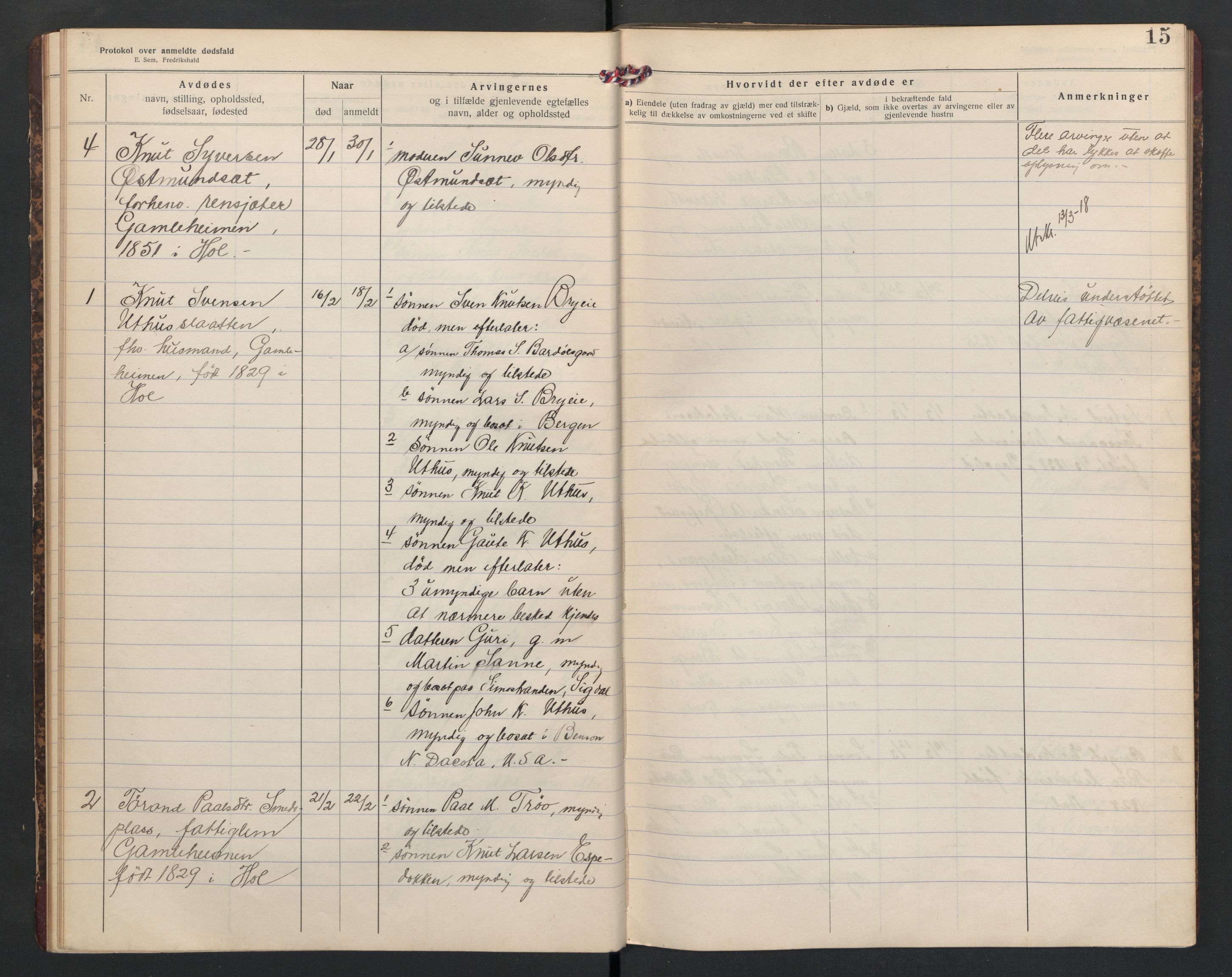 Hol lensmannskontor, AV/SAKO-A-512/H/Ha/L0005: Dødsanmeldelsesprotokoll, 1917-1924, s. 15