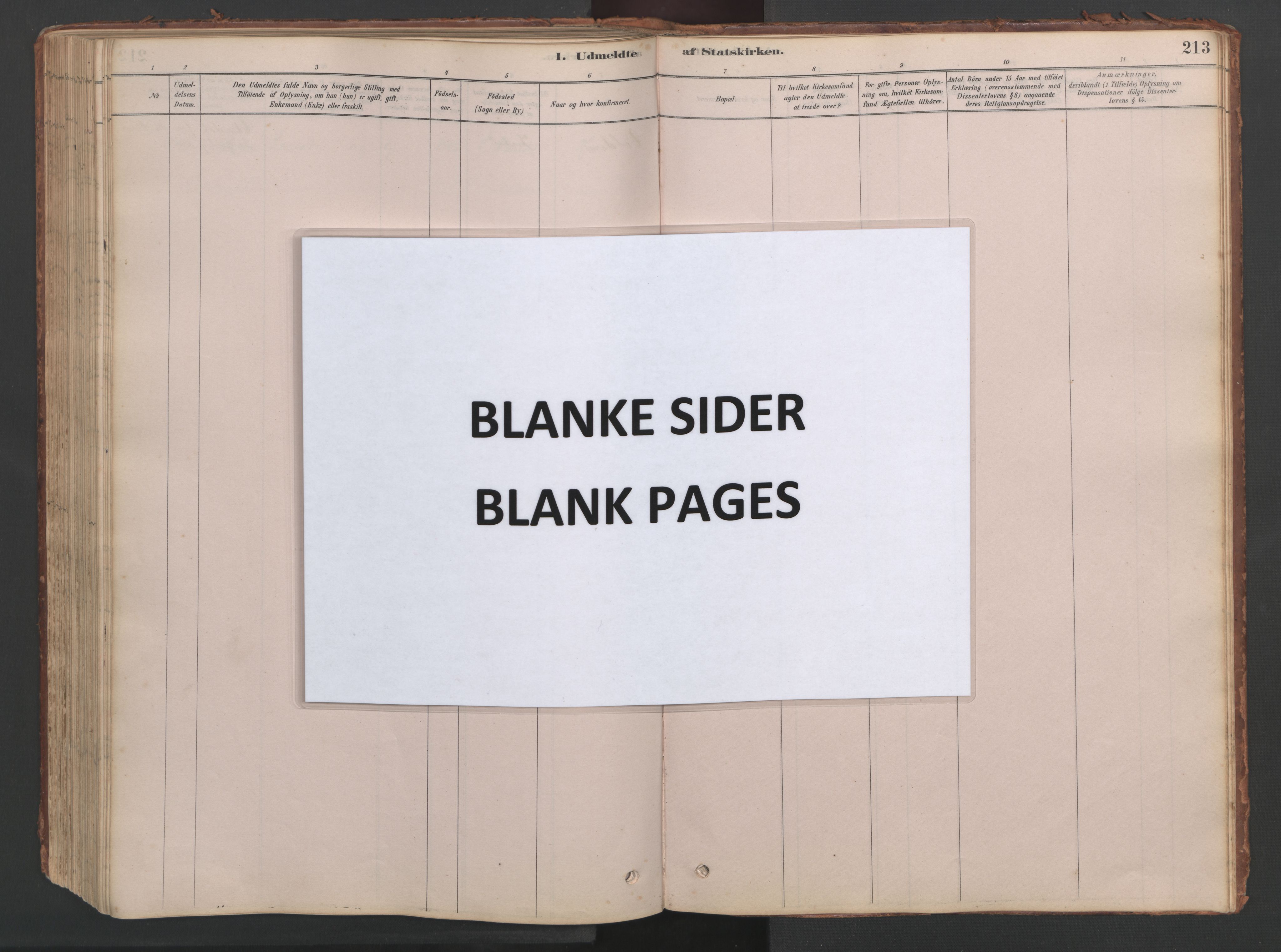 Ministerialprotokoller, klokkerbøker og fødselsregistre - Møre og Romsdal, SAT/A-1454/514/L0201: Klokkerbok nr. 514C01, 1878-1919, s. 213