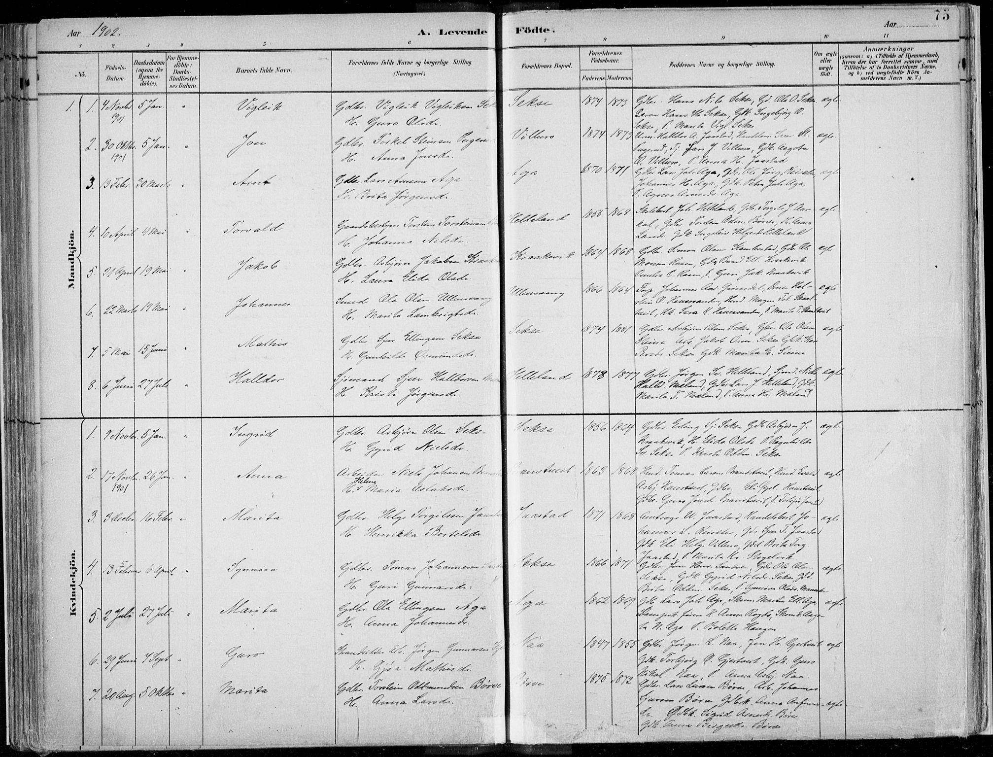 Ullensvang sokneprestembete, AV/SAB-A-78701/H/Haa: Ministerialbok nr. B  1, 1882-1918, s. 75