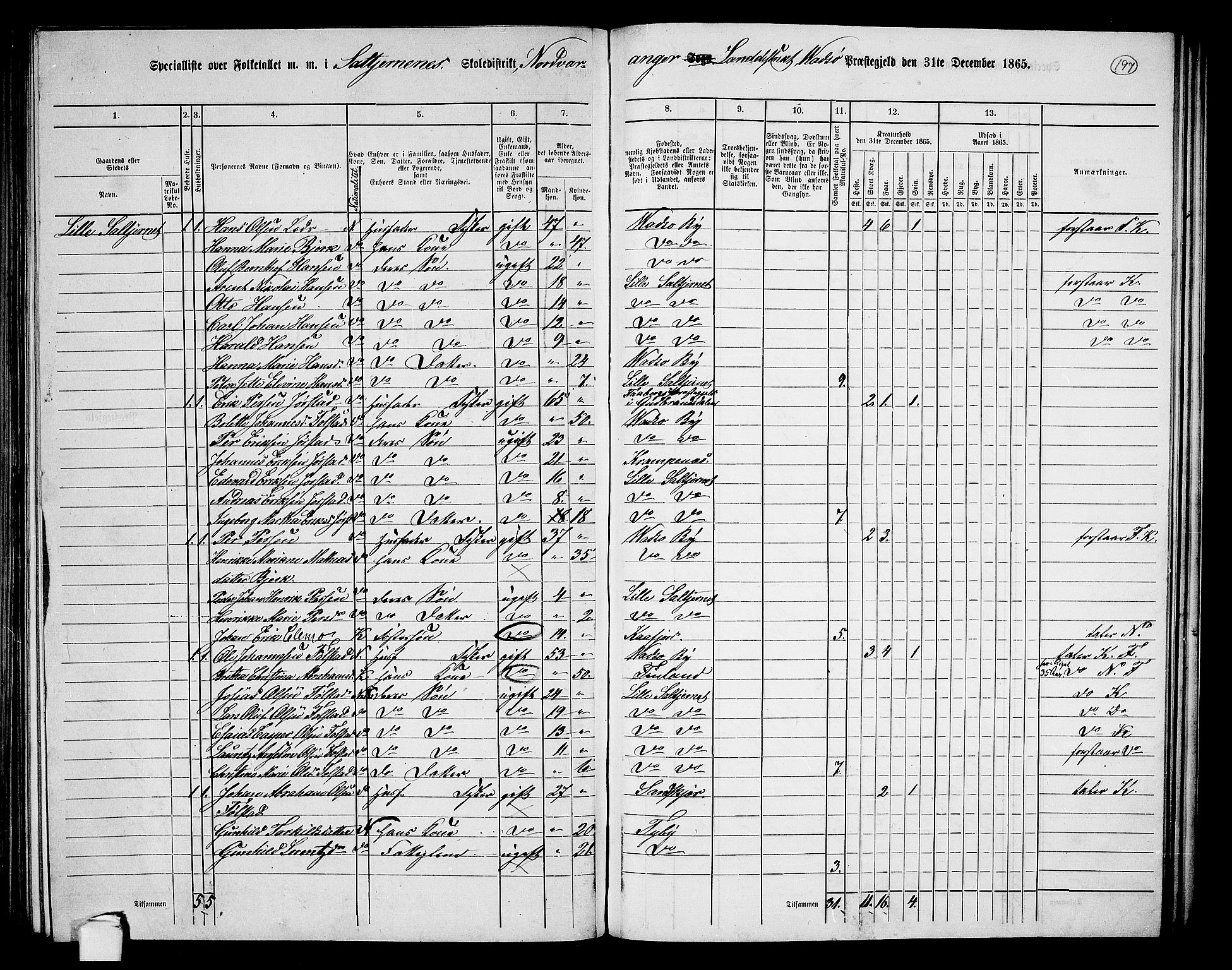 RA, Folketelling 1865 for 2029L Vadsø prestegjeld, Nord-Varanger sokn, 1865, s. 30