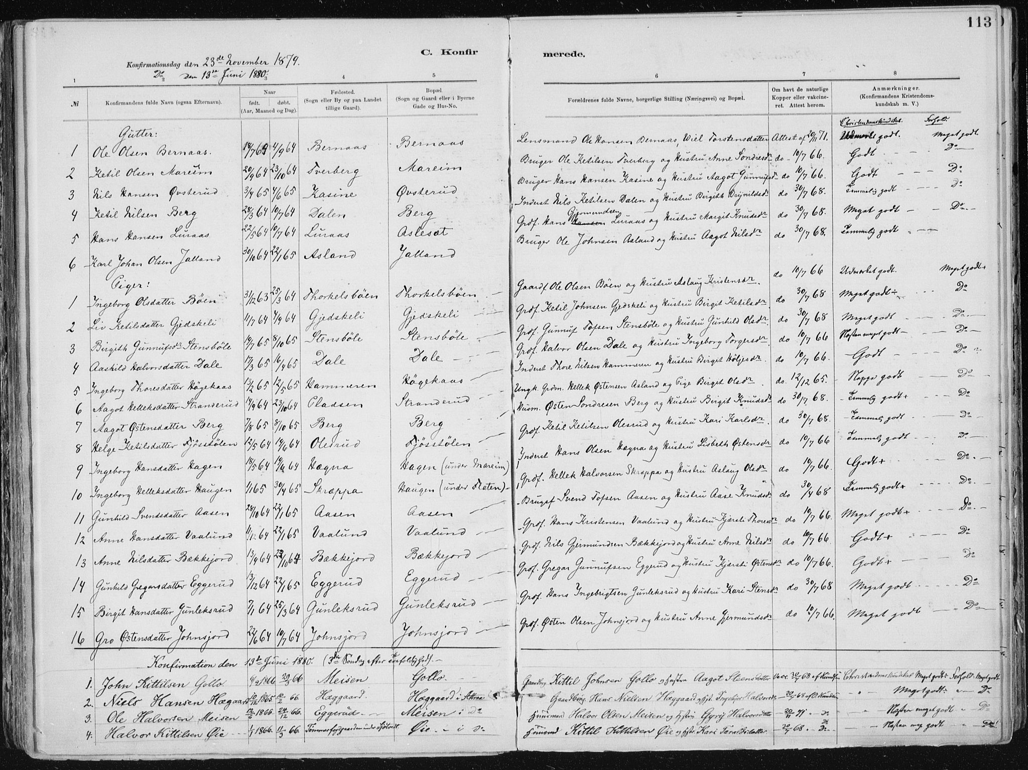 Tinn kirkebøker, AV/SAKO-A-308/F/Fa/L0007: Ministerialbok nr. I 7, 1878-1922, s. 113