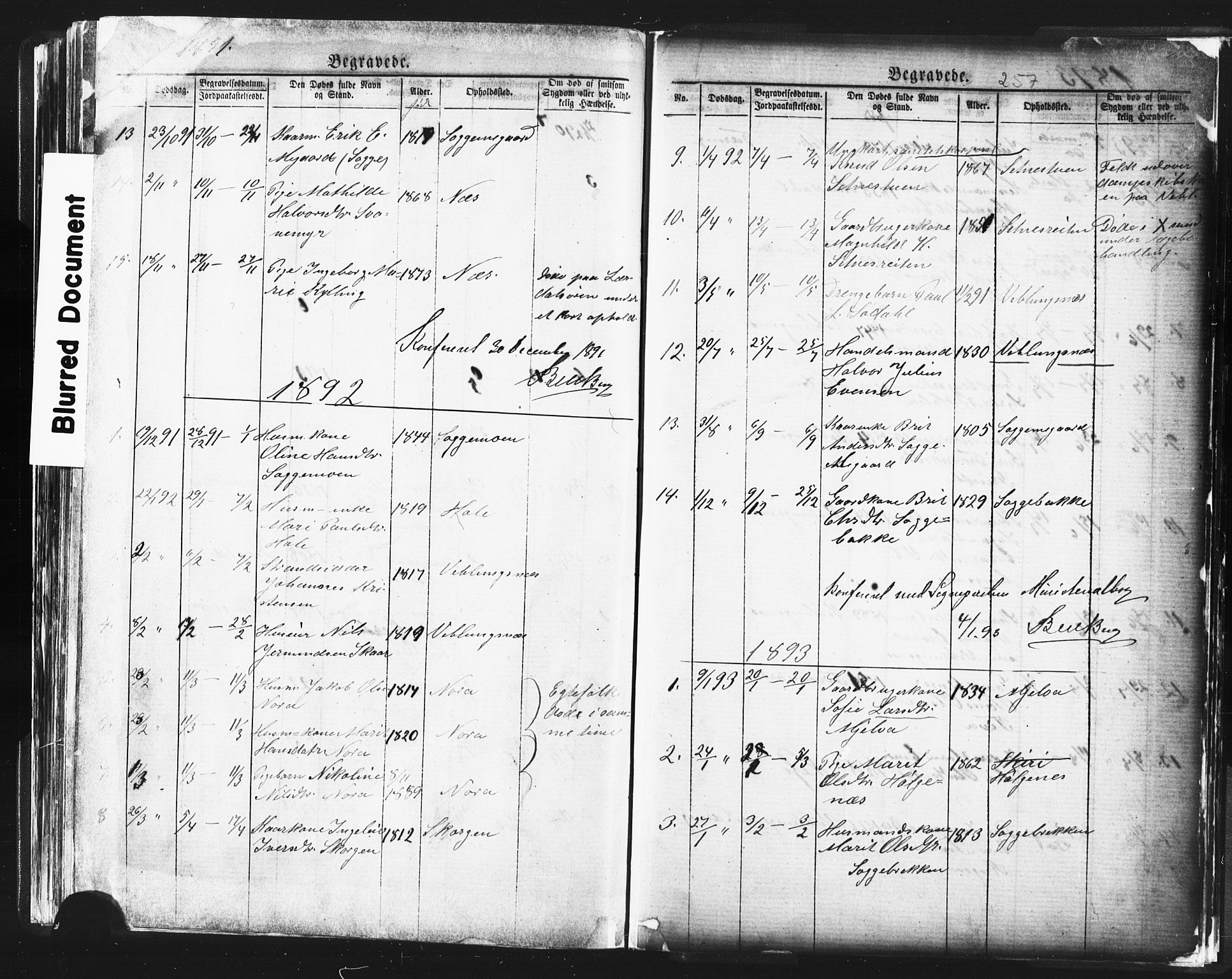 Ministerialprotokoller, klokkerbøker og fødselsregistre - Møre og Romsdal, AV/SAT-A-1454/544/L0580: Klokkerbok nr. 544C02, 1867-1909, s. 257