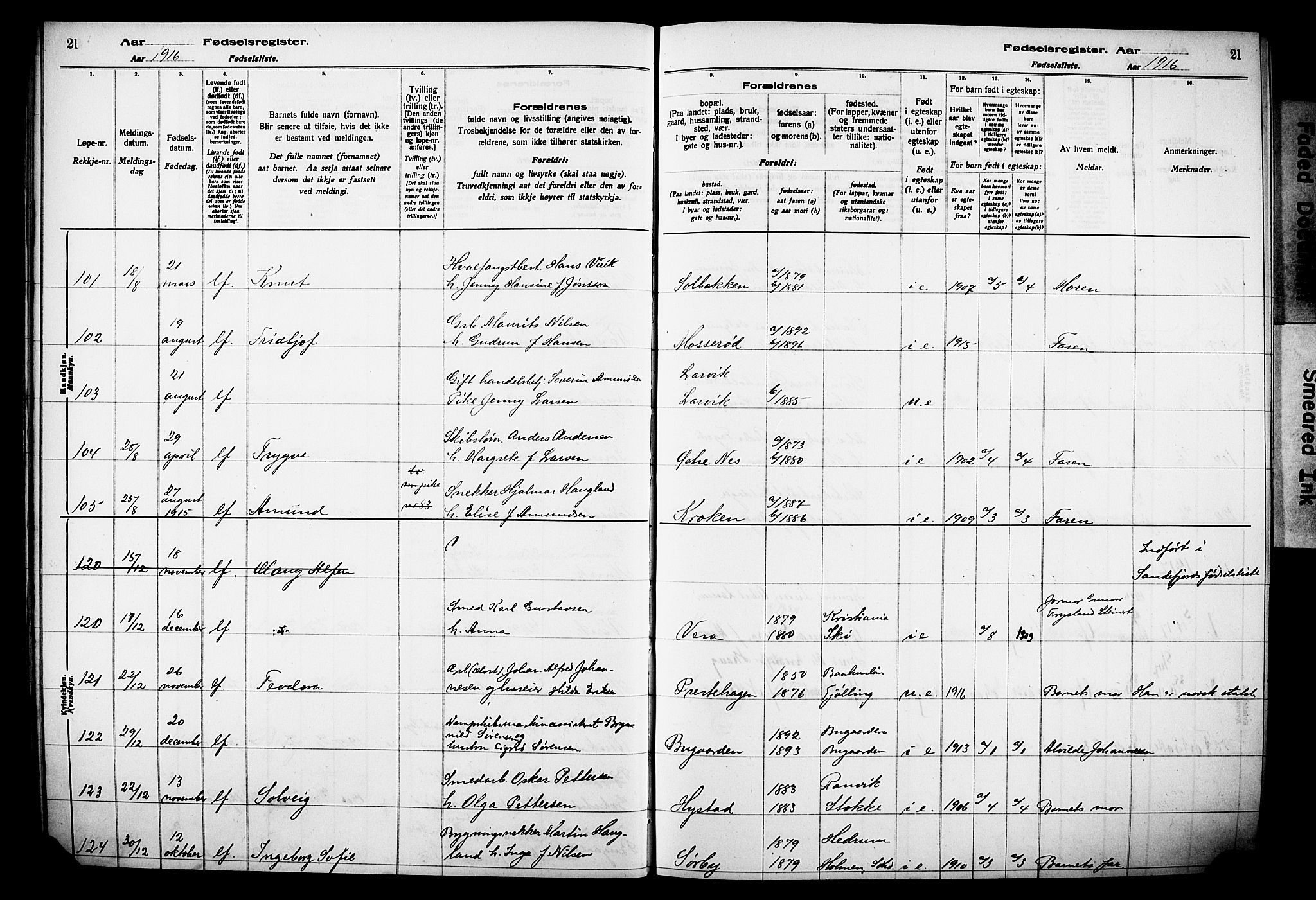 Sandar kirkebøker, AV/SAKO-A-243/J/Ja/L0001: Fødselsregister nr. 1, 1916-1922, s. 21