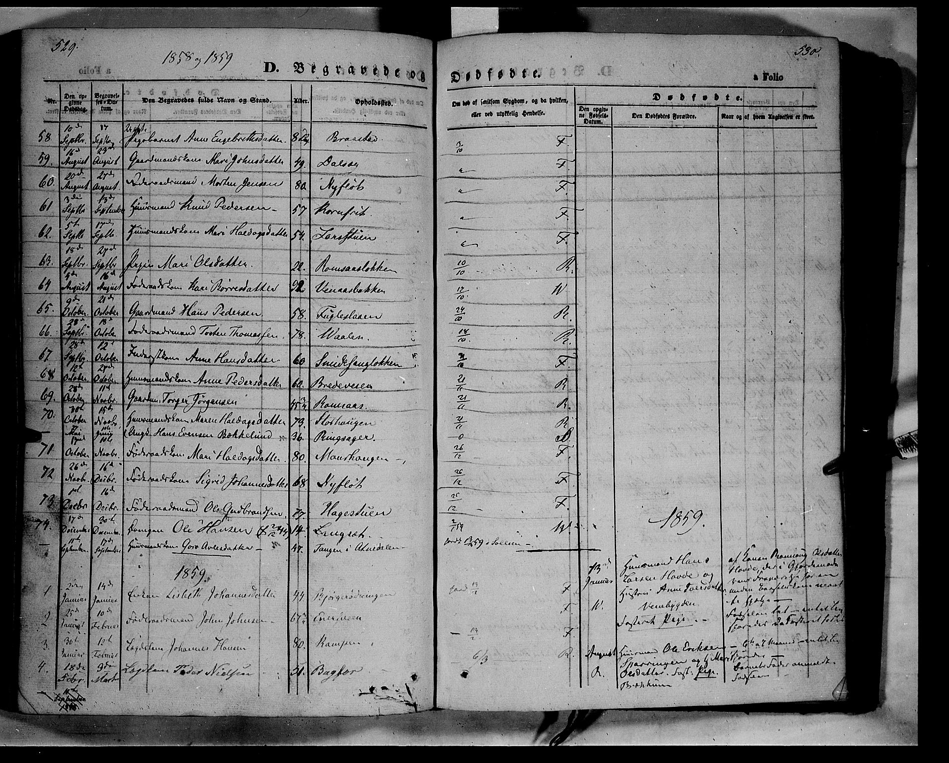 Ringebu prestekontor, AV/SAH-PREST-082/H/Ha/Haa/L0006: Ministerialbok nr. 6, 1848-1859, s. 529-530