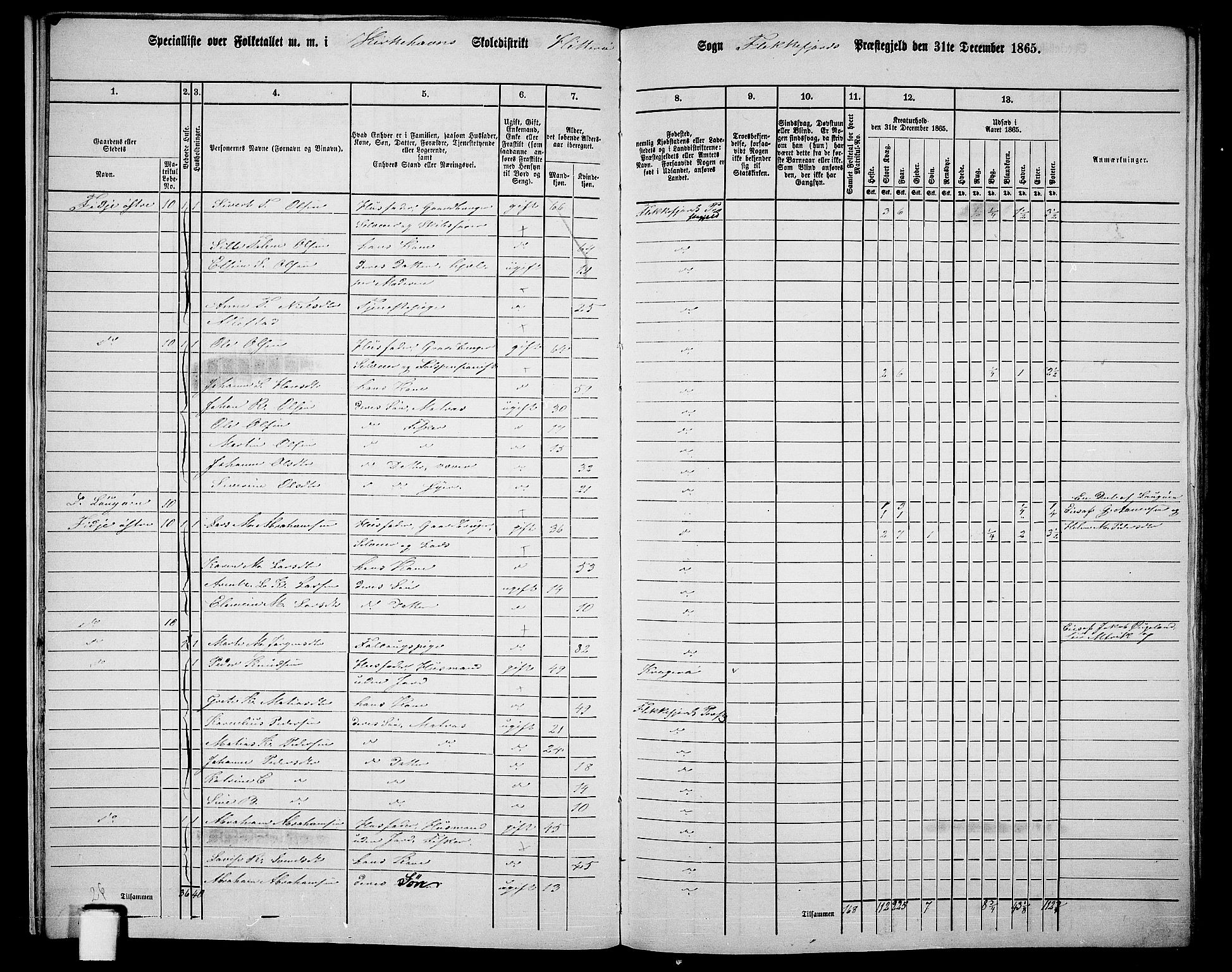 RA, Folketelling 1865 for 1042L Flekkefjord prestegjeld, Nes sokn og Hidra sokn, 1865, s. 16