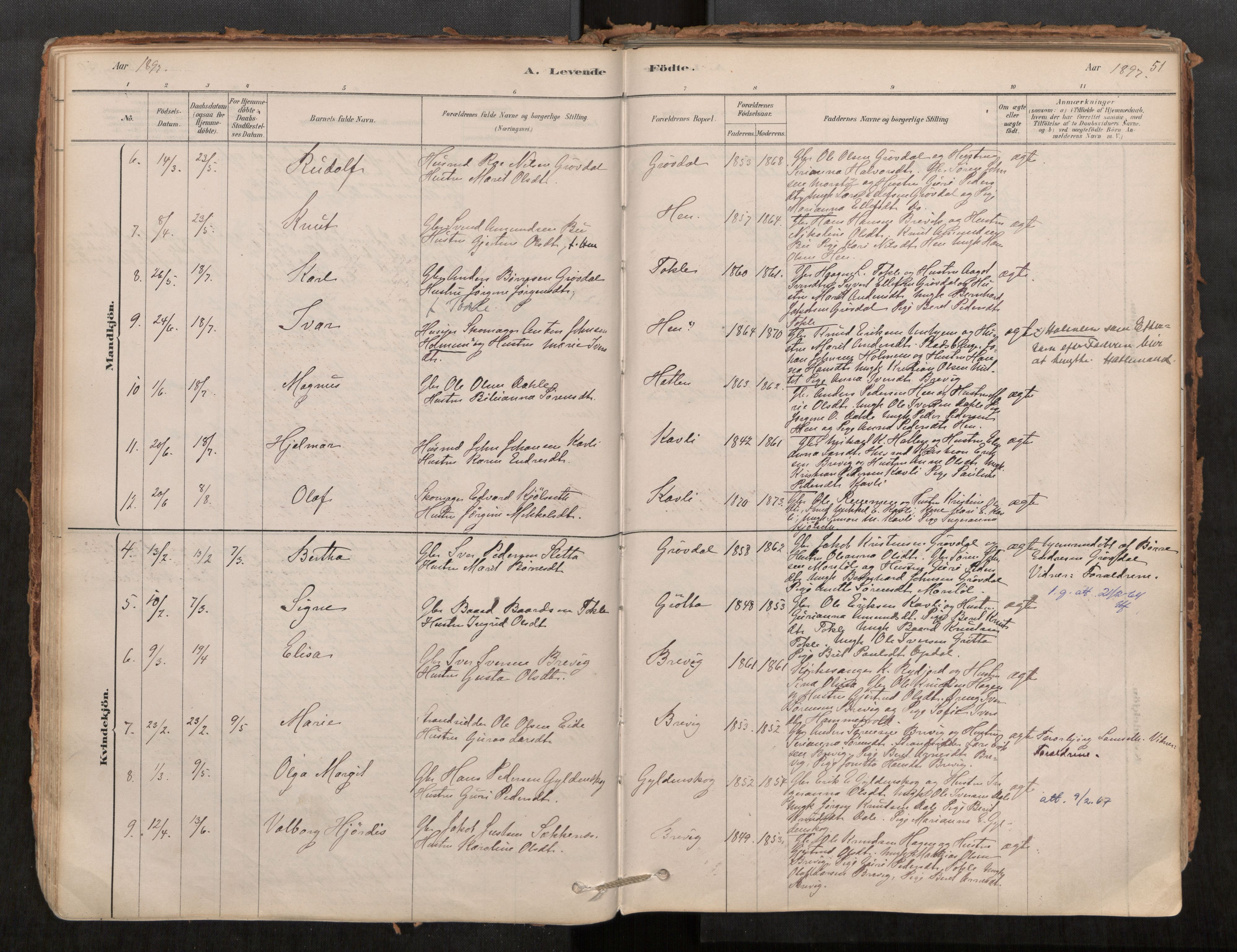 Ministerialprotokoller, klokkerbøker og fødselsregistre - Møre og Romsdal, AV/SAT-A-1454/545/L0594: Ministerialbok nr. 545A03, 1878-1920, s. 51