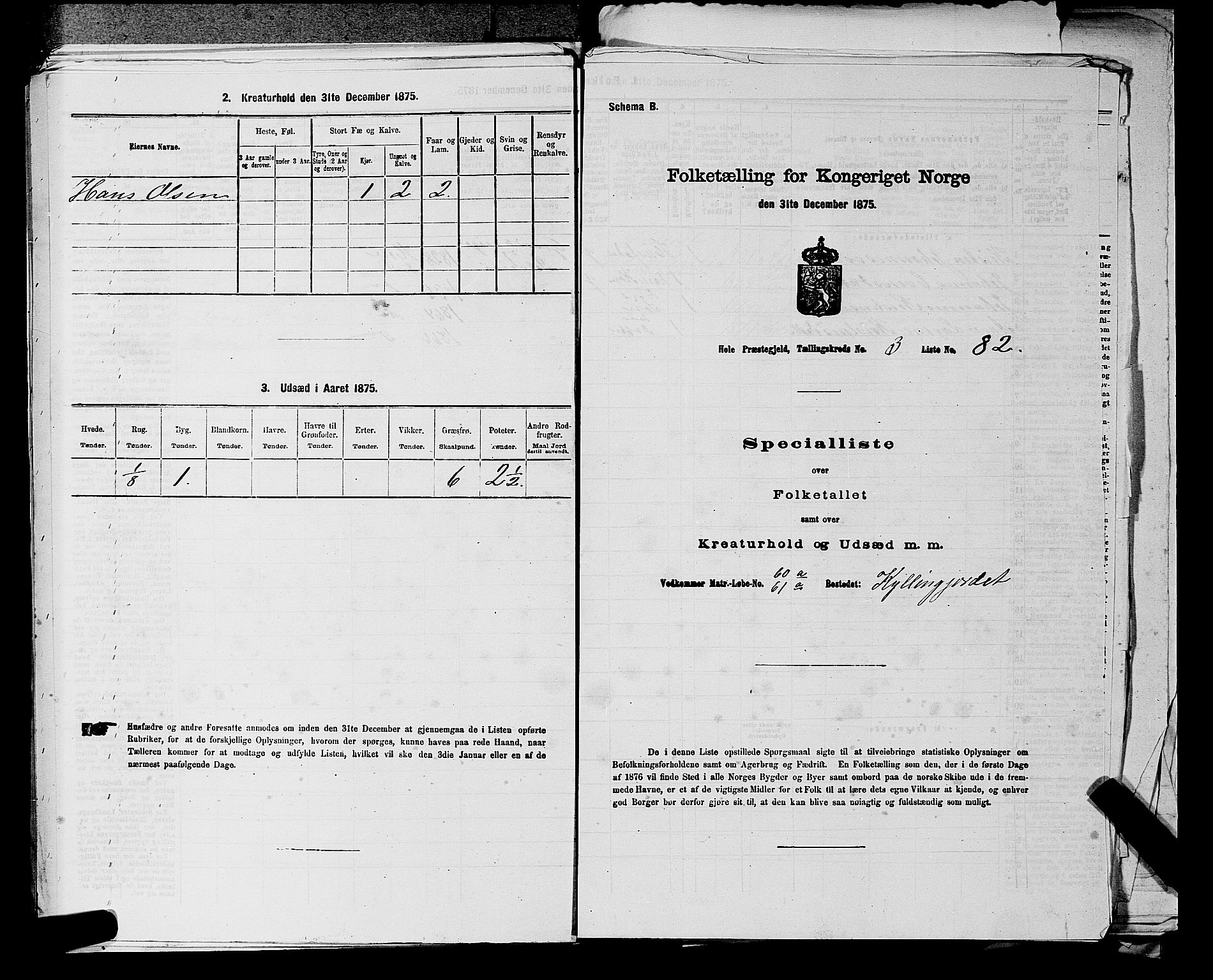 SAKO, Folketelling 1875 for 0612P Hole prestegjeld, 1875, s. 623