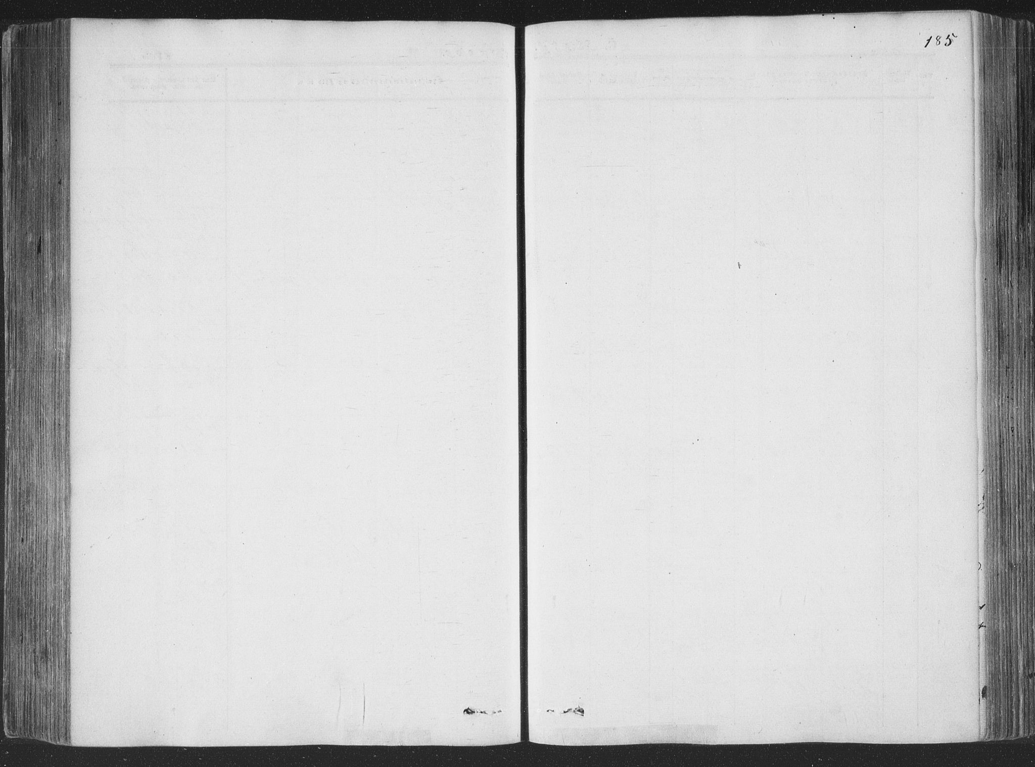 Rollag kirkebøker, SAKO/A-240/F/Fa/L0008: Ministerialbok nr. I 8, 1847-1860, s. 185