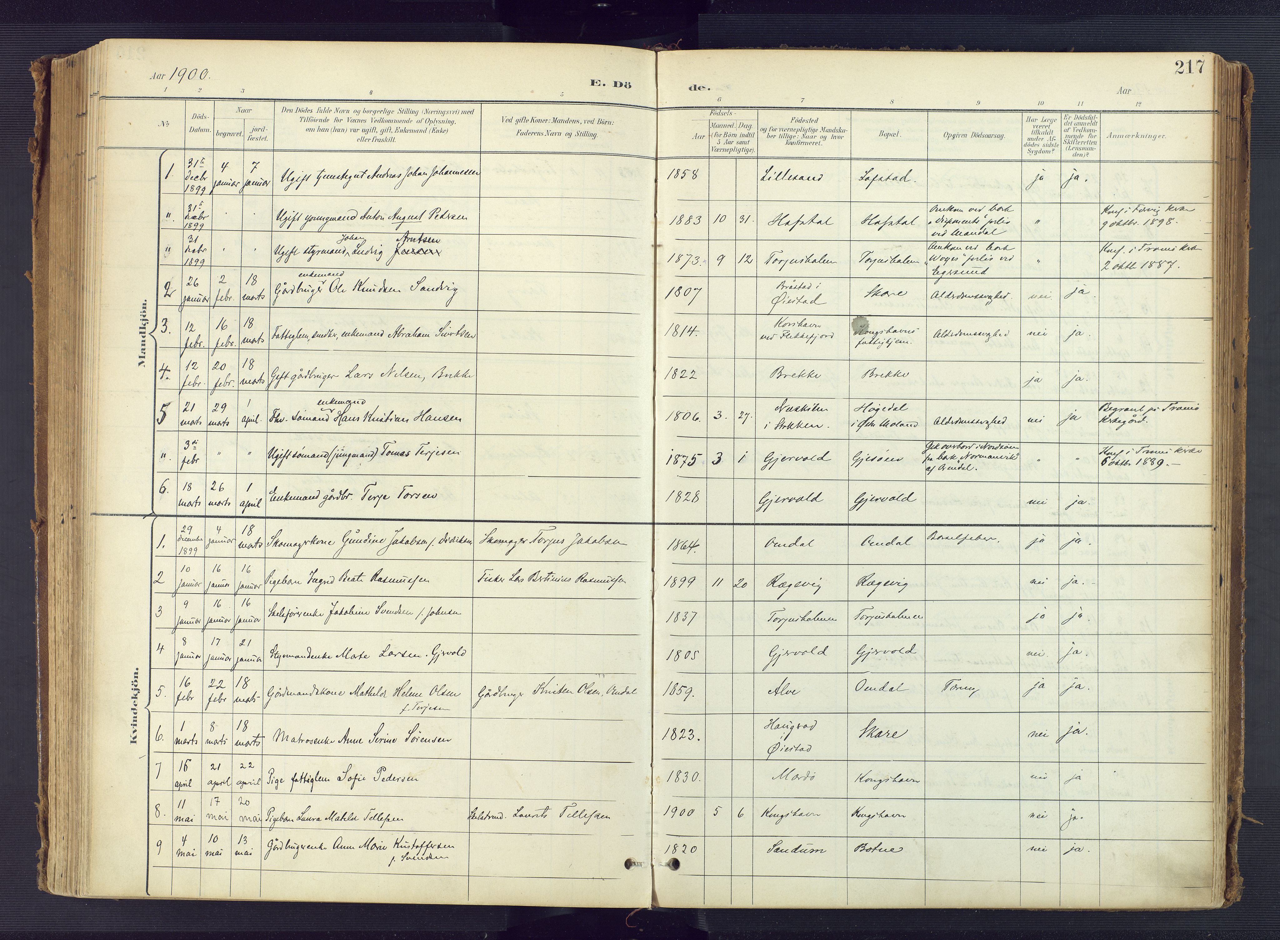 Tromøy sokneprestkontor, AV/SAK-1111-0041/F/Fa/L0010: Ministerialbok nr. A 10, 1896-1912, s. 217