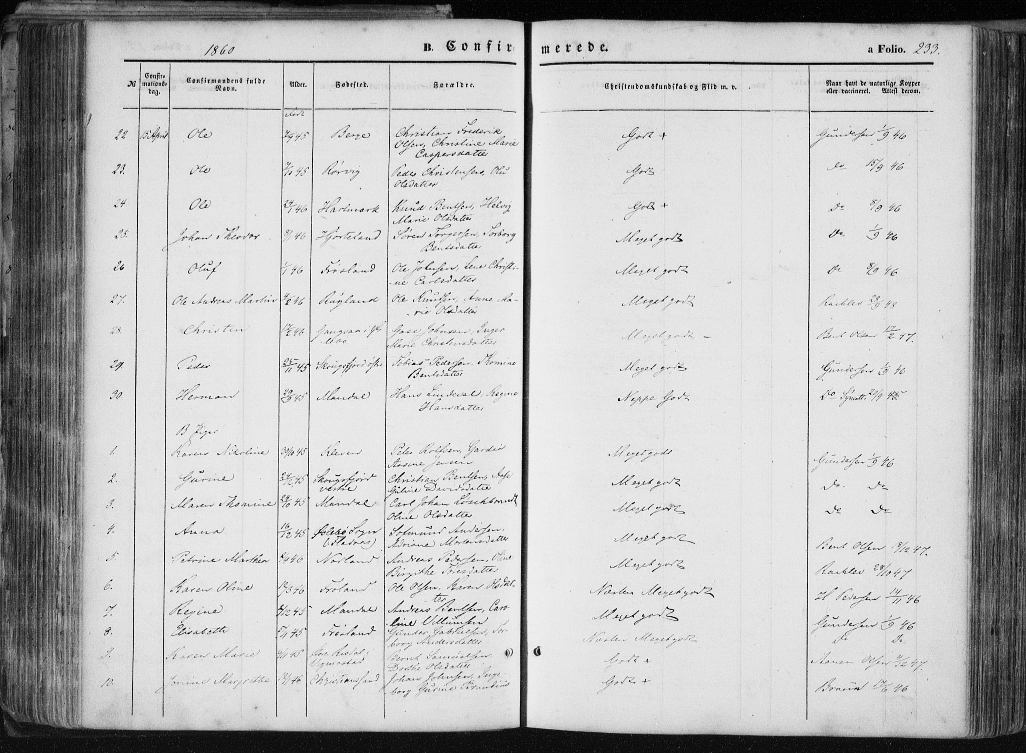 Mandal sokneprestkontor, SAK/1111-0030/F/Fa/Faa/L0014: Ministerialbok nr. A 14, 1859-1872, s. 233