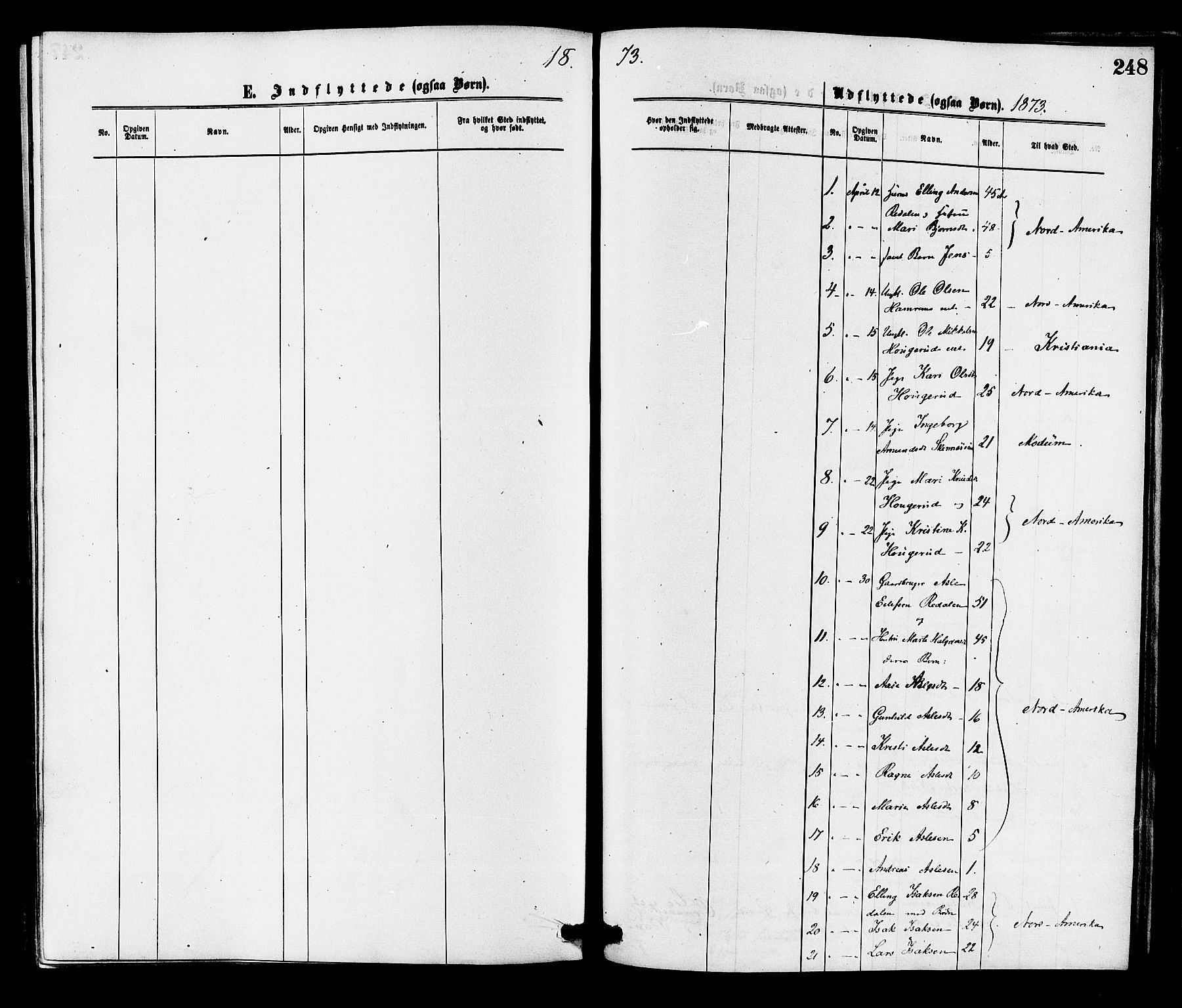 Krødsherad kirkebøker, AV/SAKO-A-19/F/Fa/L0004: Ministerialbok nr. 4, 1873-1878, s. 248