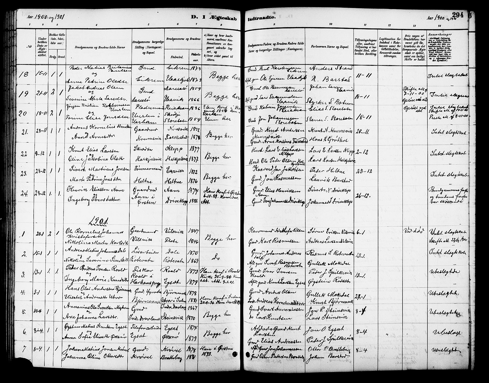 Ministerialprotokoller, klokkerbøker og fødselsregistre - Møre og Romsdal, AV/SAT-A-1454/511/L0158: Klokkerbok nr. 511C04, 1884-1903, s. 294