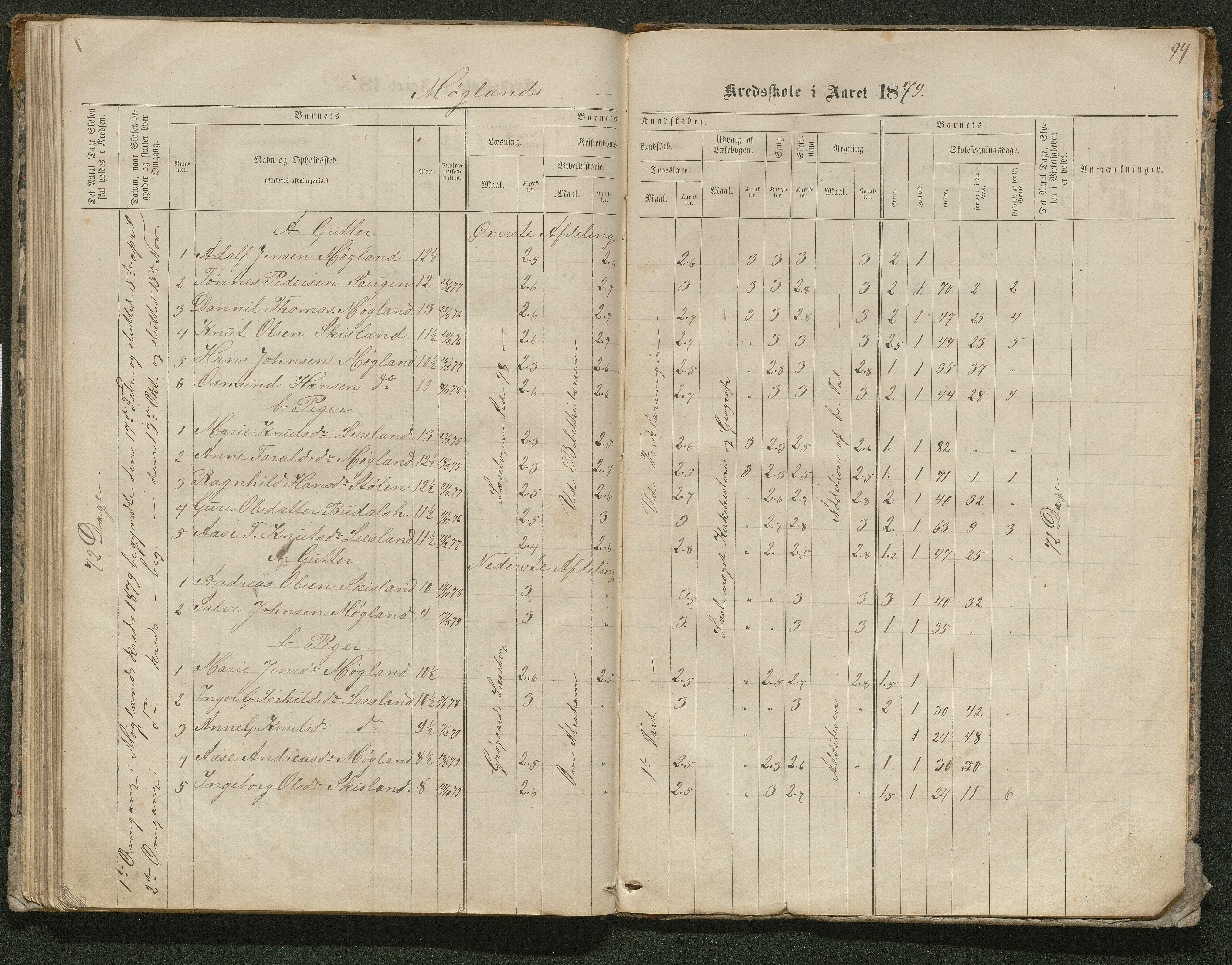 Iveland kommune, De enkelte kretsene/Skolene, AAKS/KA0935-550/A_10/L0005: Skoleprotokoll for Frøyså og Mykland krets, 1864-1881, s. 94