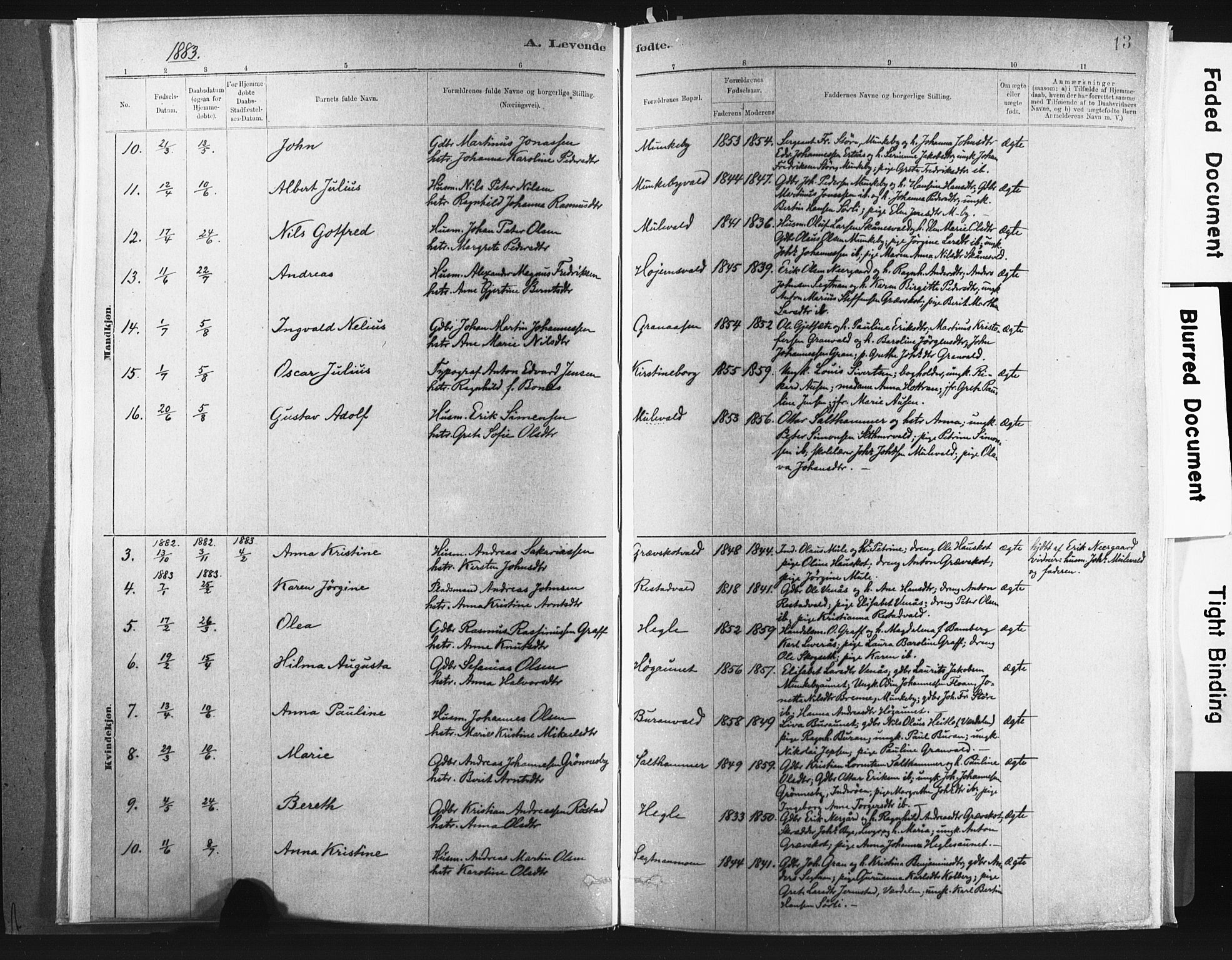 Ministerialprotokoller, klokkerbøker og fødselsregistre - Nord-Trøndelag, AV/SAT-A-1458/721/L0207: Ministerialbok nr. 721A02, 1880-1911, s. 13