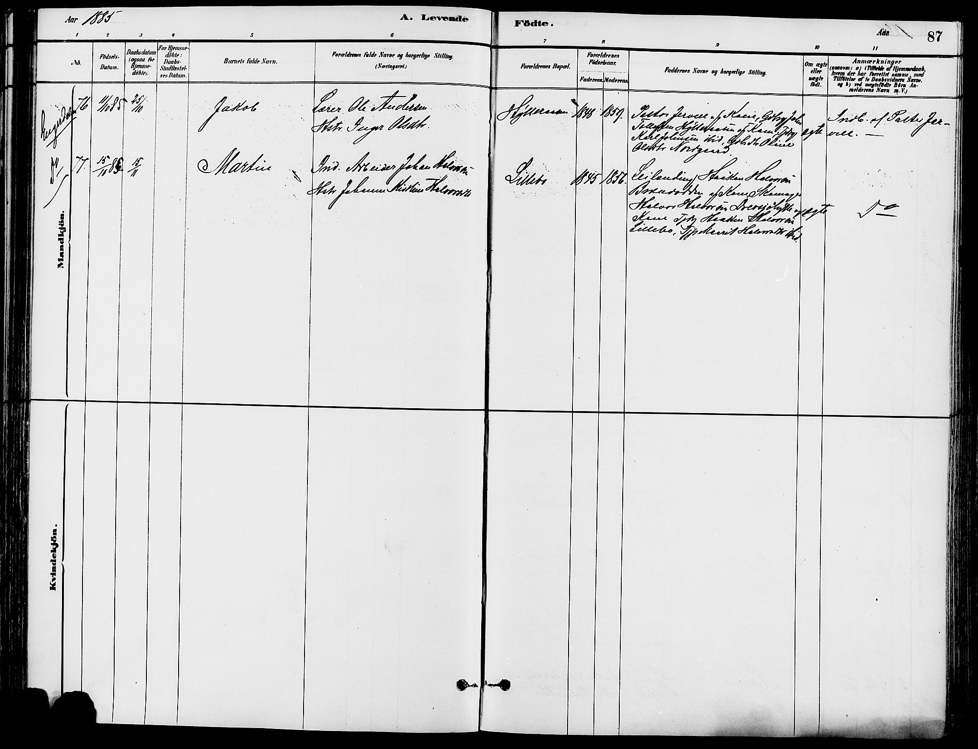 Trysil prestekontor, AV/SAH-PREST-046/H/Ha/Haa/L0008: Ministerialbok nr. 8, 1881-1897, s. 87