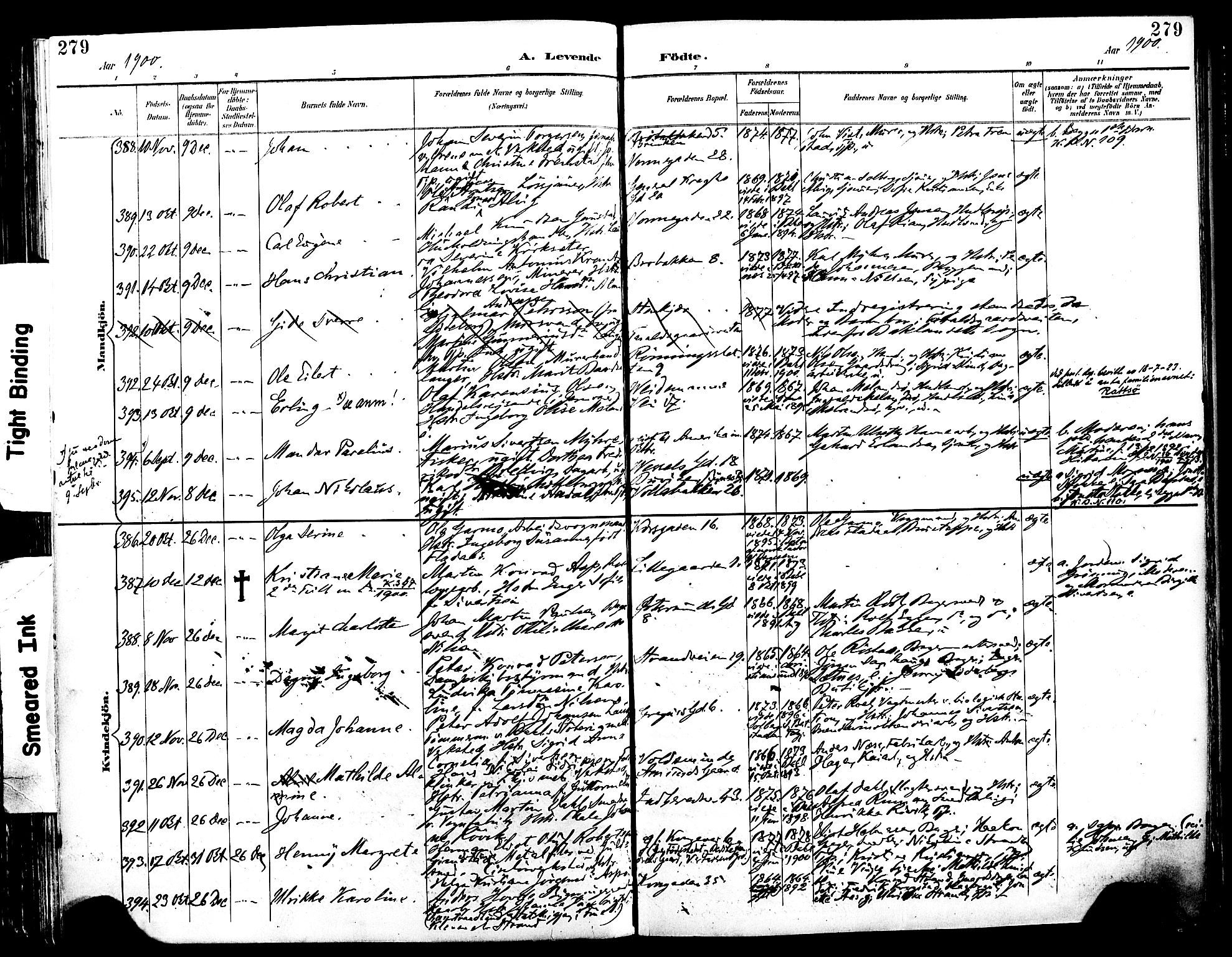 Ministerialprotokoller, klokkerbøker og fødselsregistre - Sør-Trøndelag, SAT/A-1456/604/L0197: Ministerialbok nr. 604A18, 1893-1900, s. 279