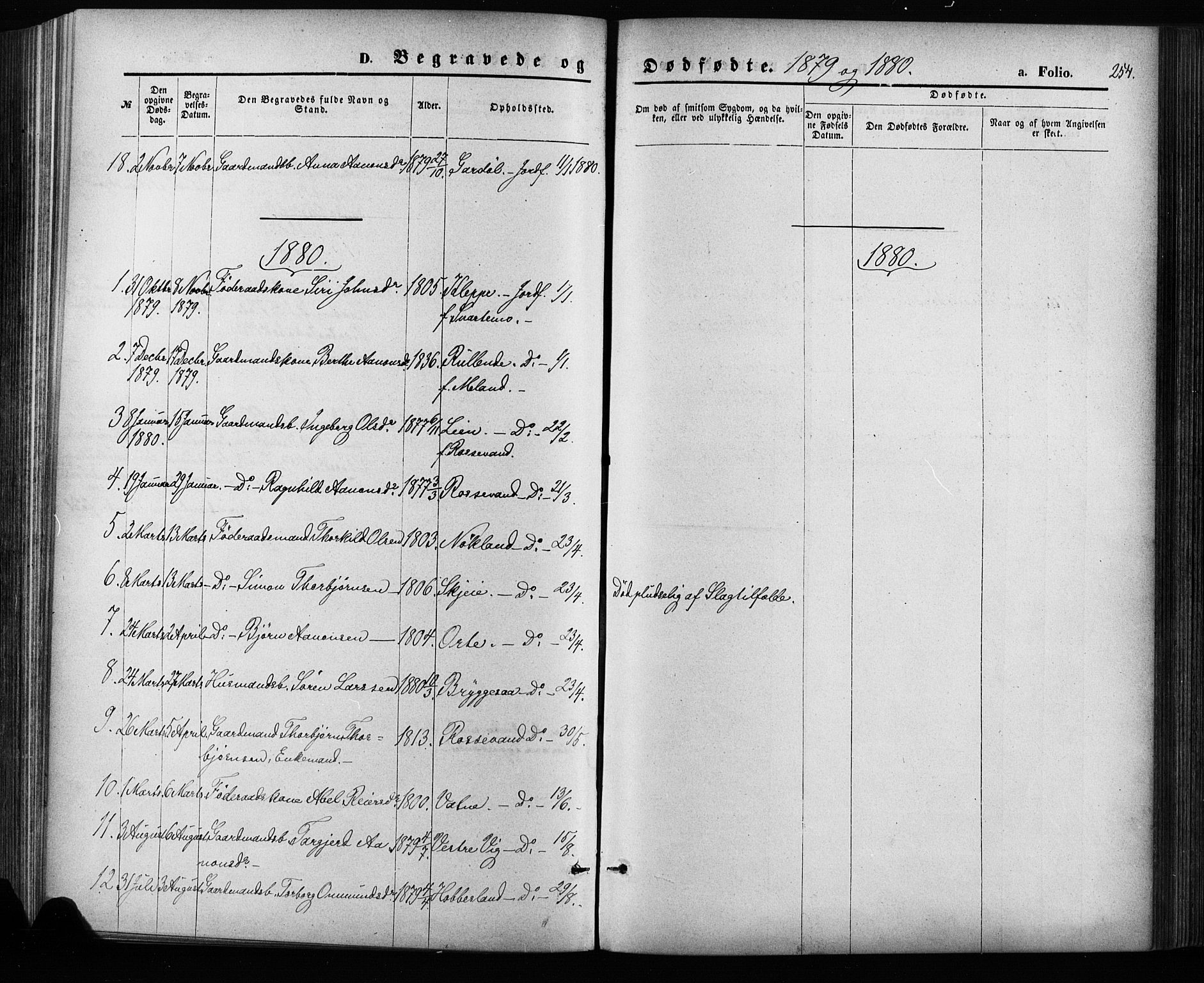 Hægebostad sokneprestkontor, SAK/1111-0024/F/Fa/Fab/L0003: Ministerialbok nr. A 3, 1872-1886, s. 254