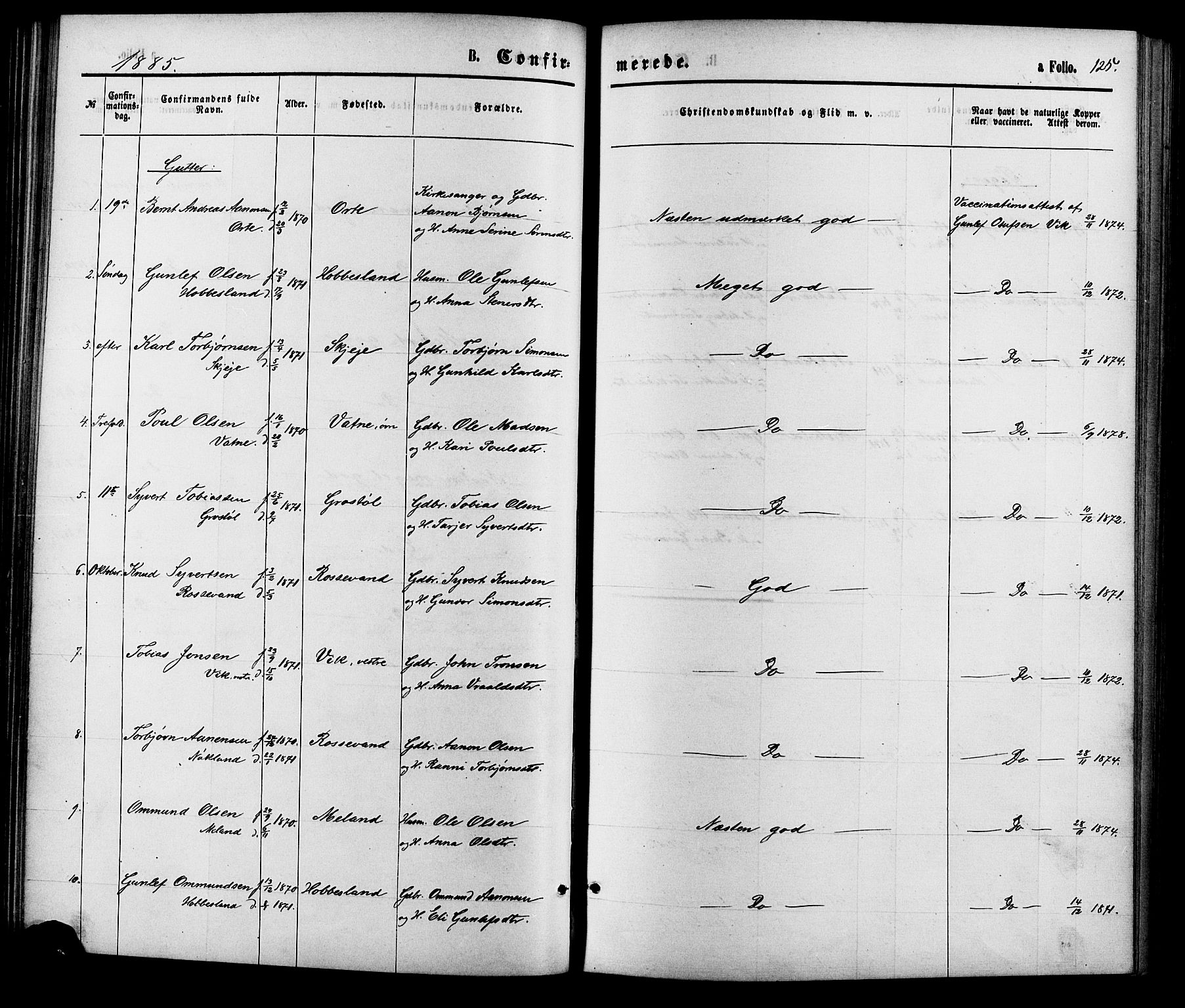 Hægebostad sokneprestkontor, SAK/1111-0024/F/Fa/Fab/L0003: Ministerialbok nr. A 3, 1872-1886, s. 125